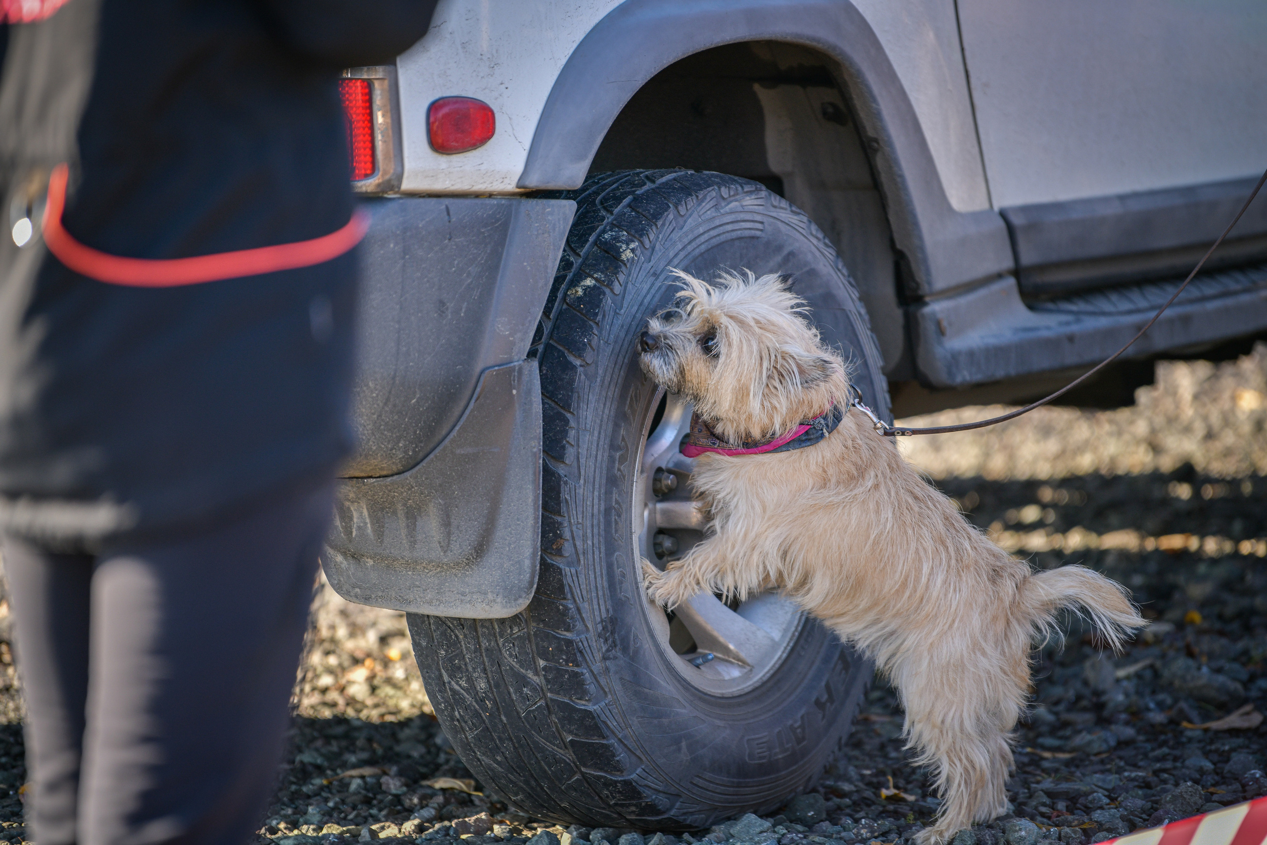 Ноузворк 17 сентября 2023. Свой взгляд через объектив