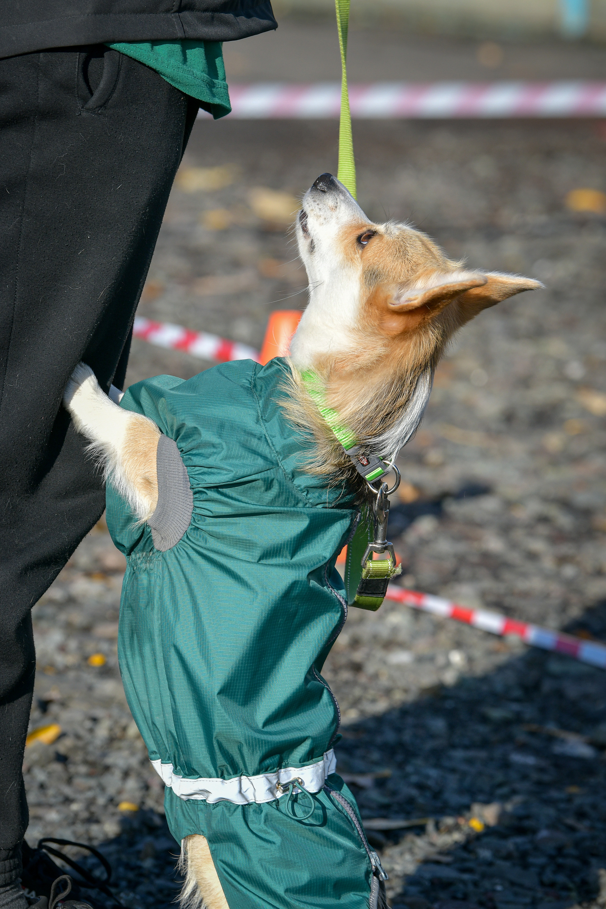 Ноузворк 17 сентября 2023. Свой взгляд через объектив