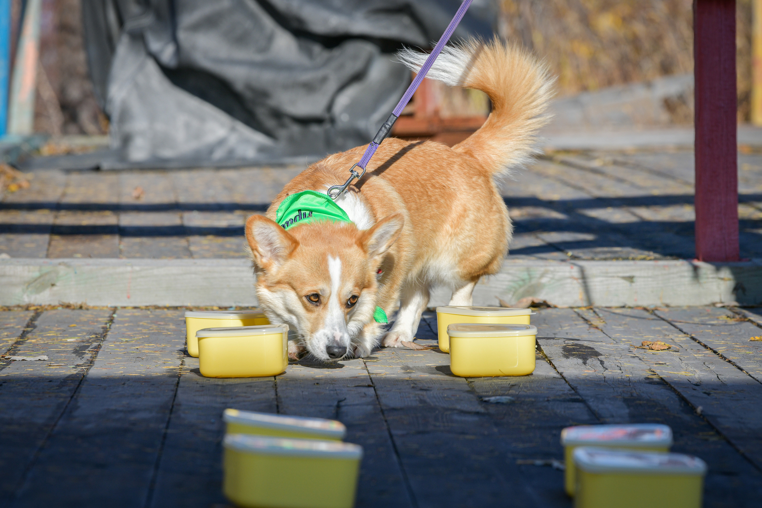 Ноузворк 17 сентября 2023. Свой взгляд через объектив