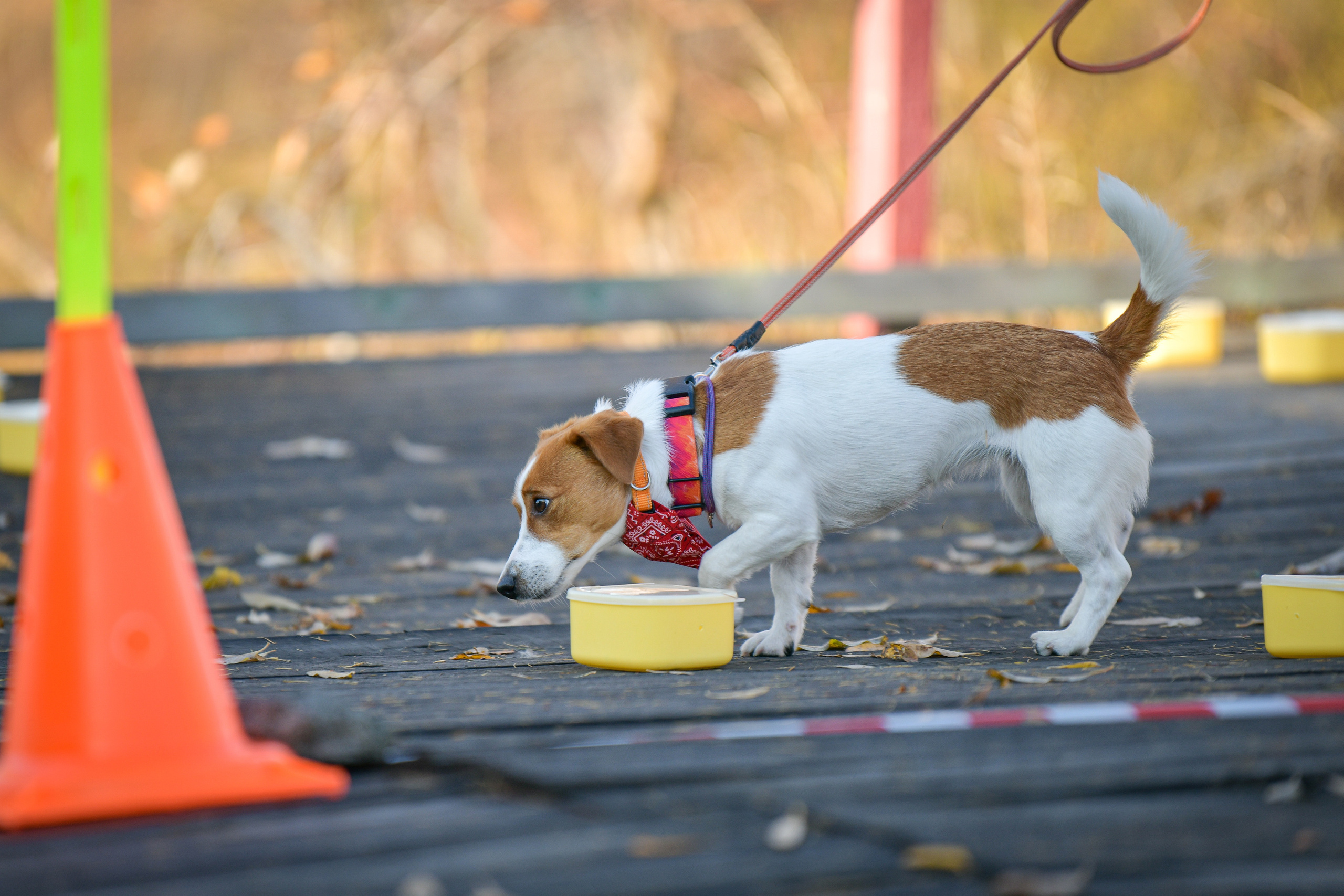 Ноузворк 17 сентября 2023. Свой взгляд через объектив
