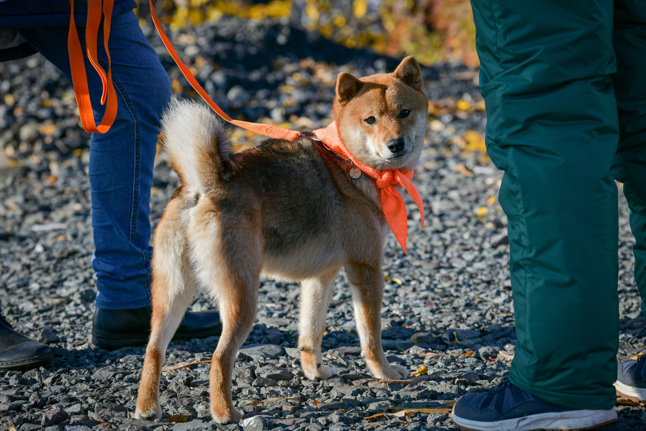 Ноузворк 17 сентября 2023. Свой взгляд через объектив
