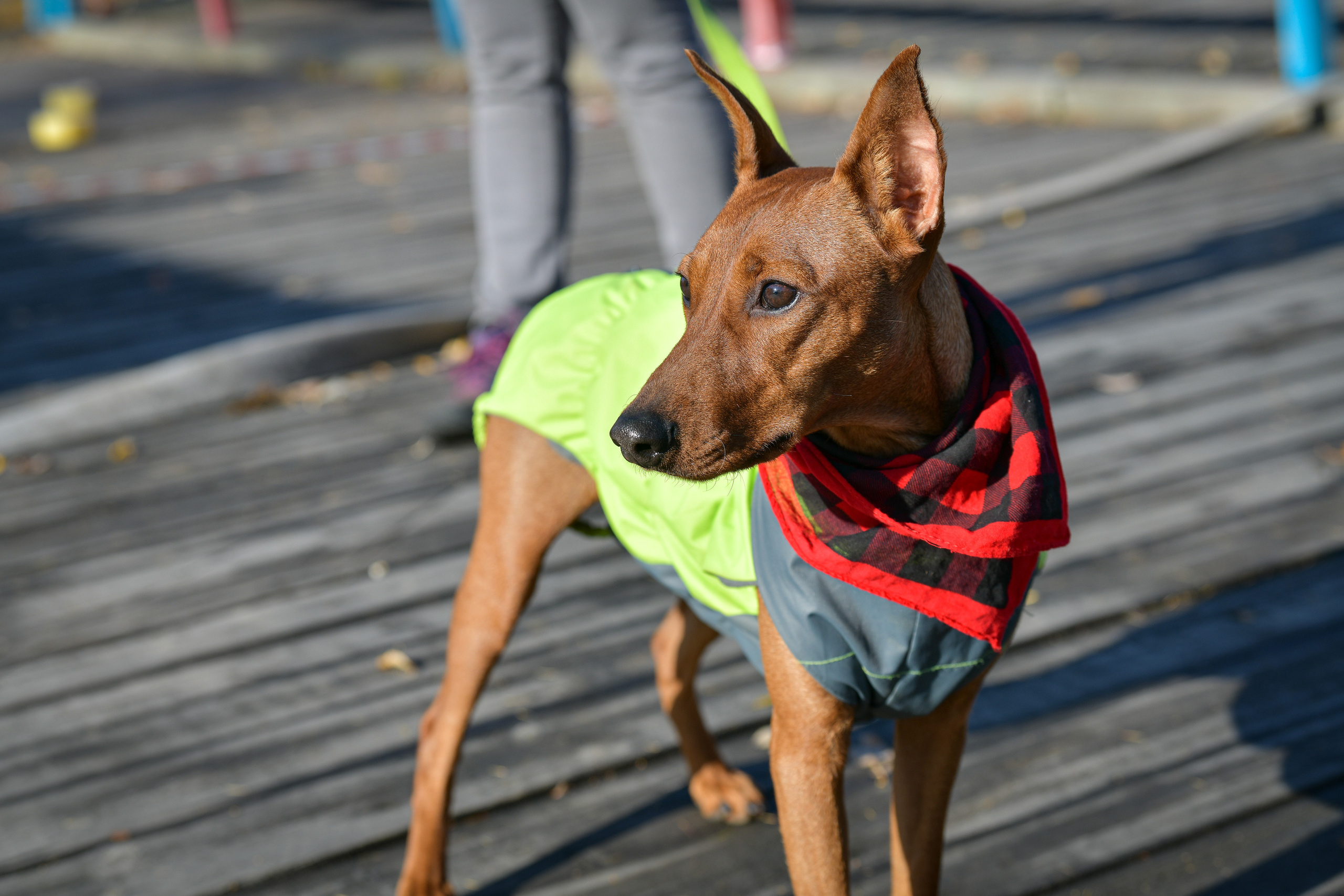 Ноузворк 17 сентября 2023. Свой взгляд через объектив