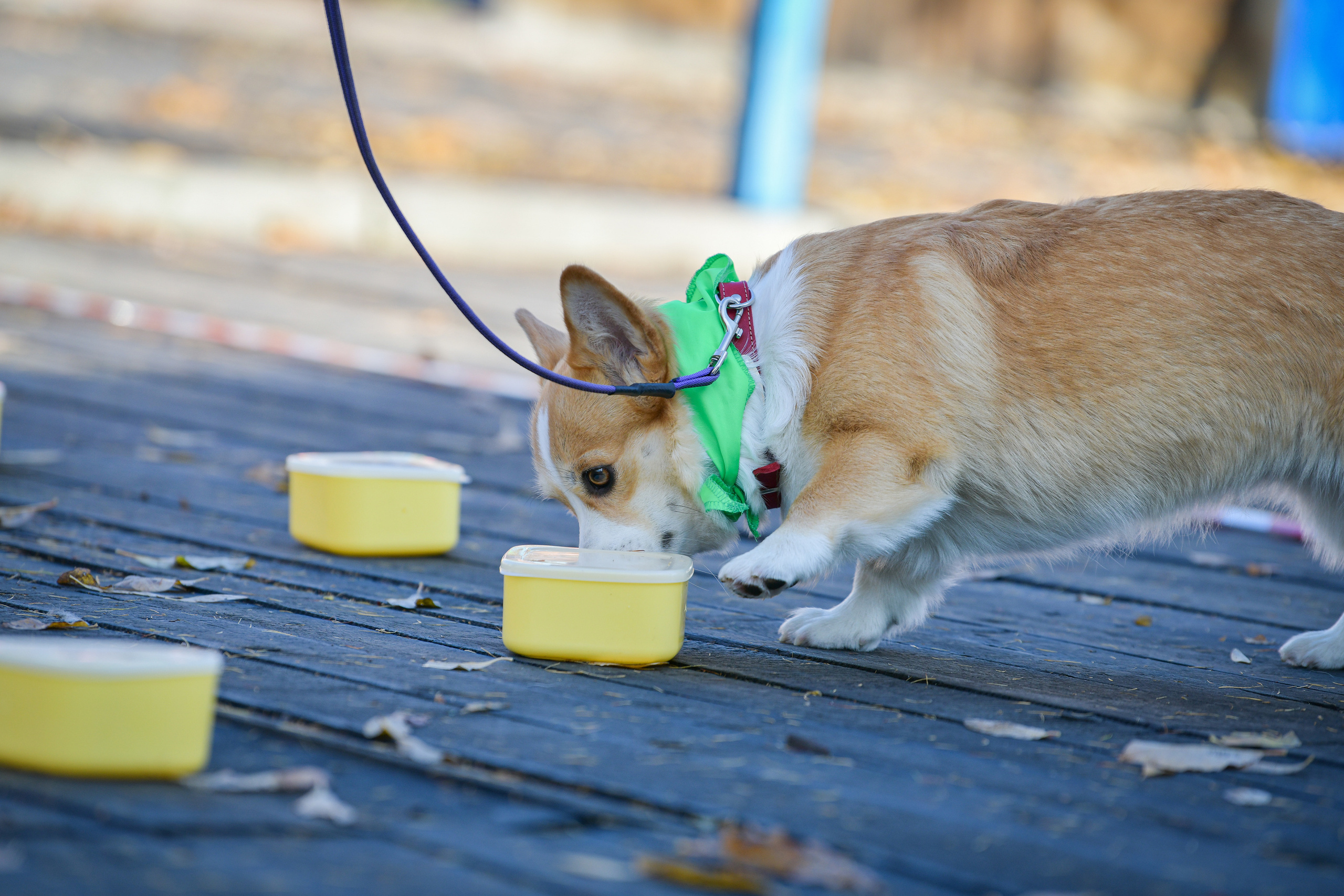 Ноузворк 17 сентября 2023. Свой взгляд через объектив