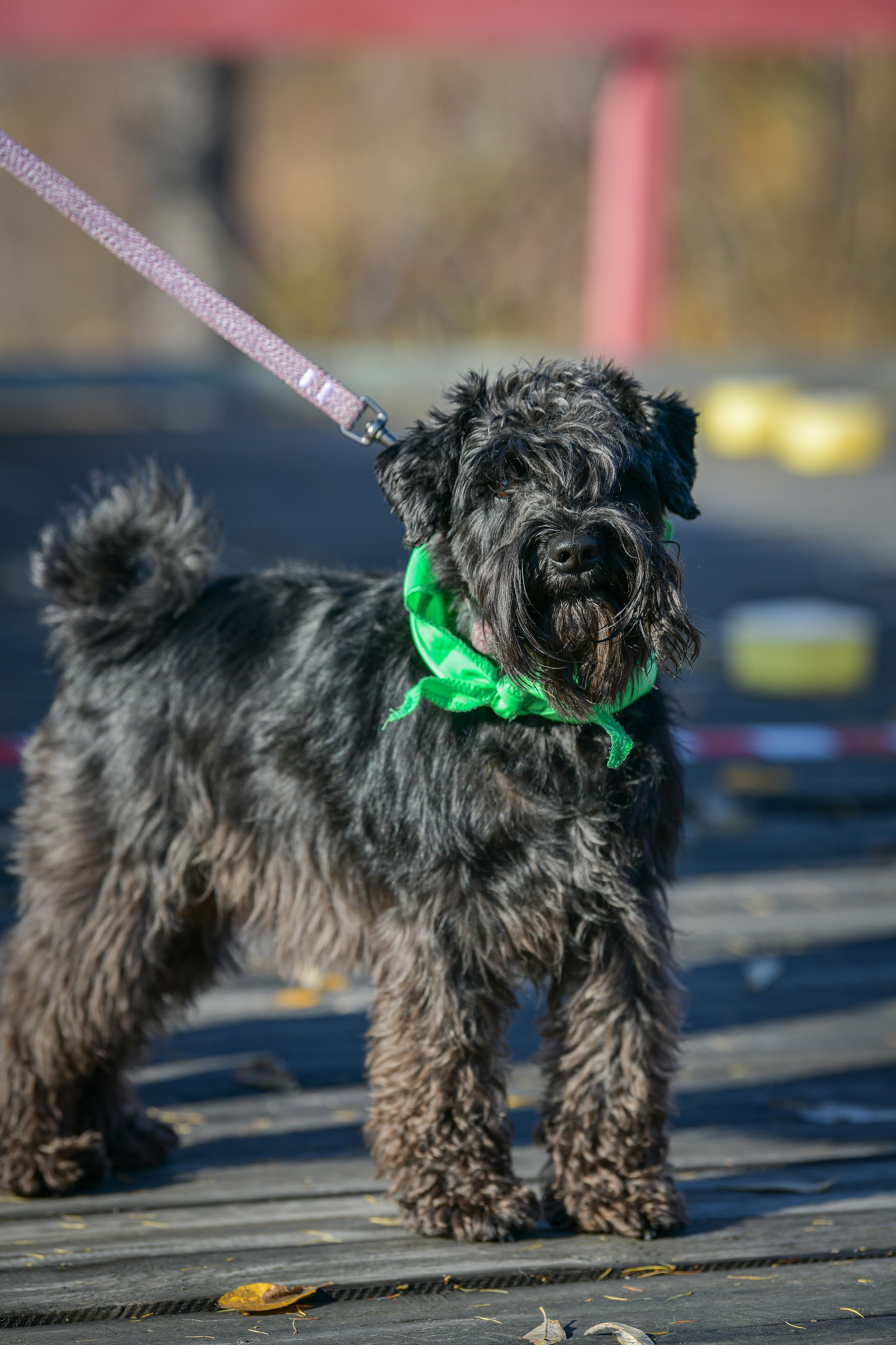 Ноузворк 17 сентября 2023. Свой взгляд через объектив