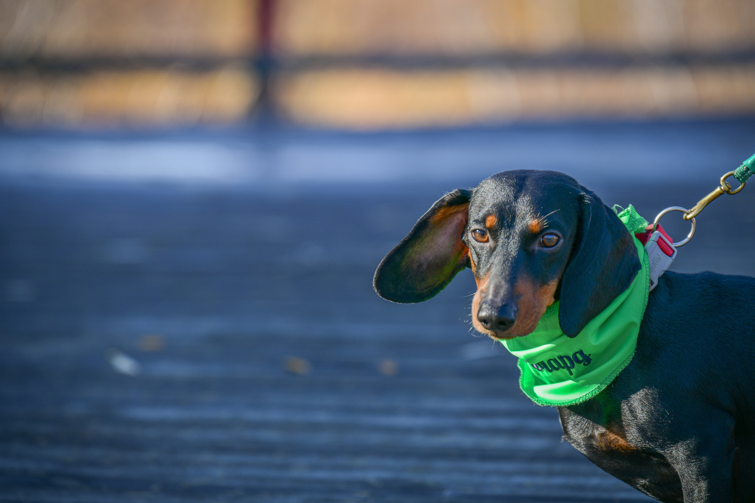 Ноузворк 17 сентября 2023. Свой взгляд через объектив