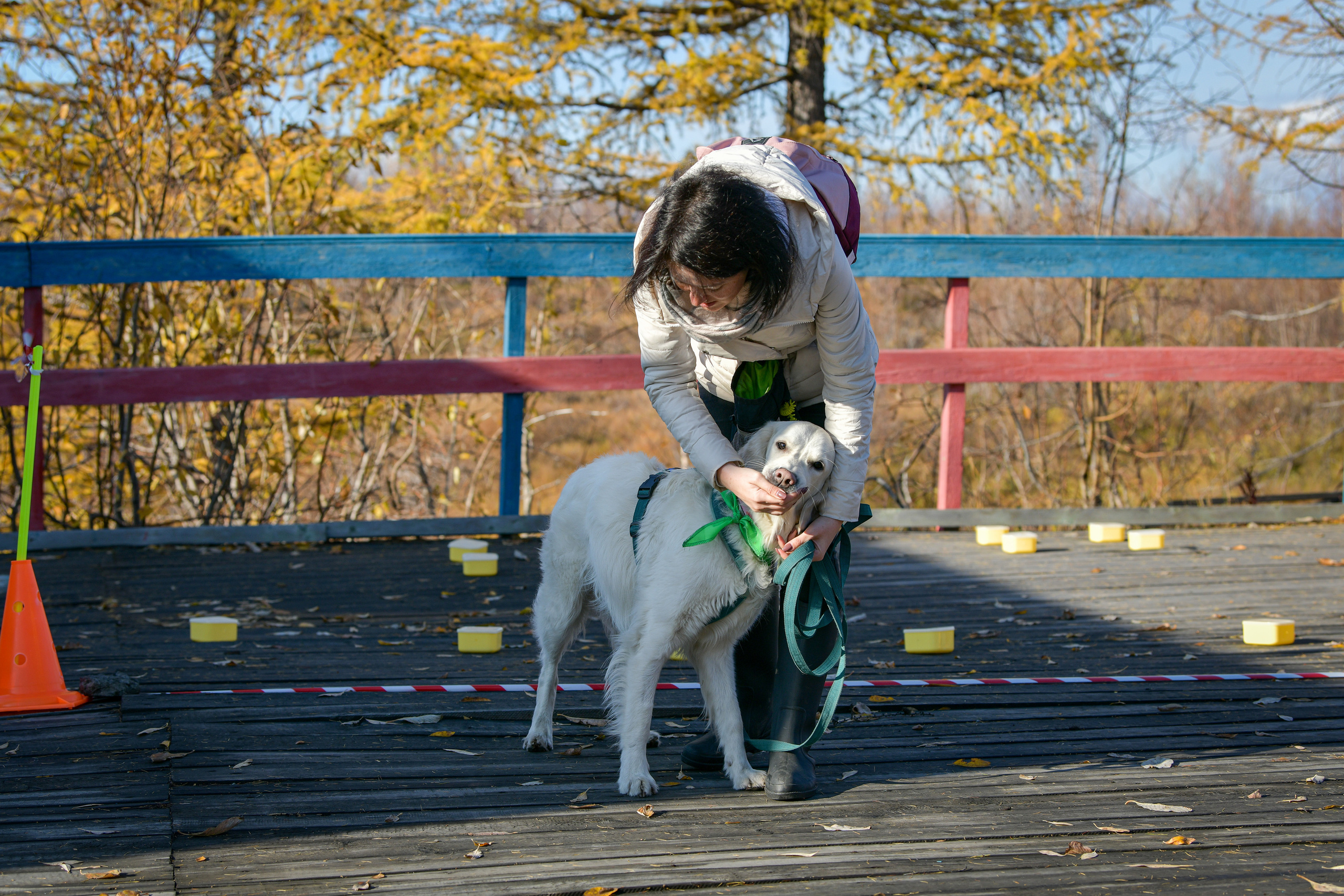 Ноузворк 17 сентября 2023. Свой взгляд через объектив