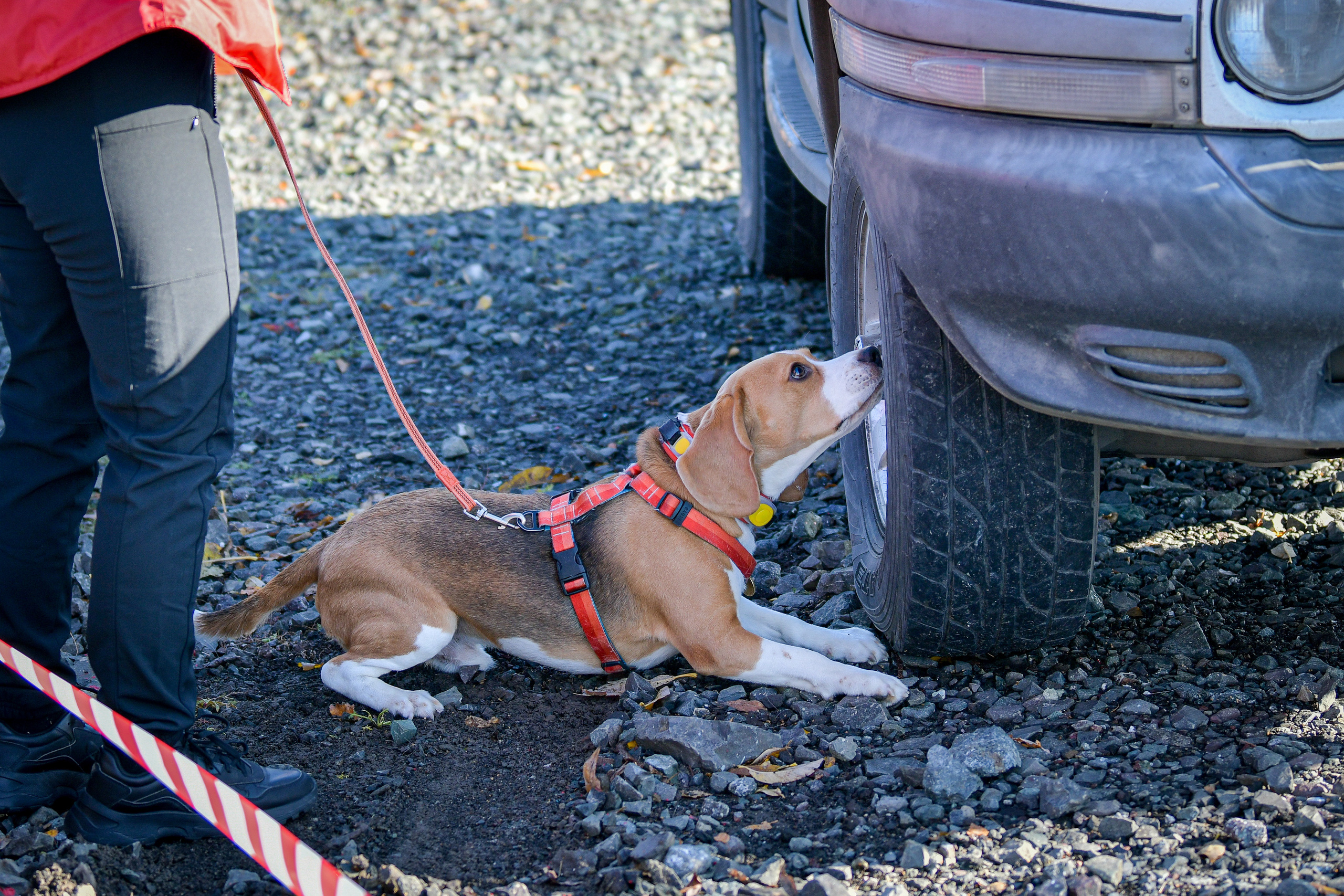 Ноузворк 17 сентября 2023. Свой взгляд через объектив