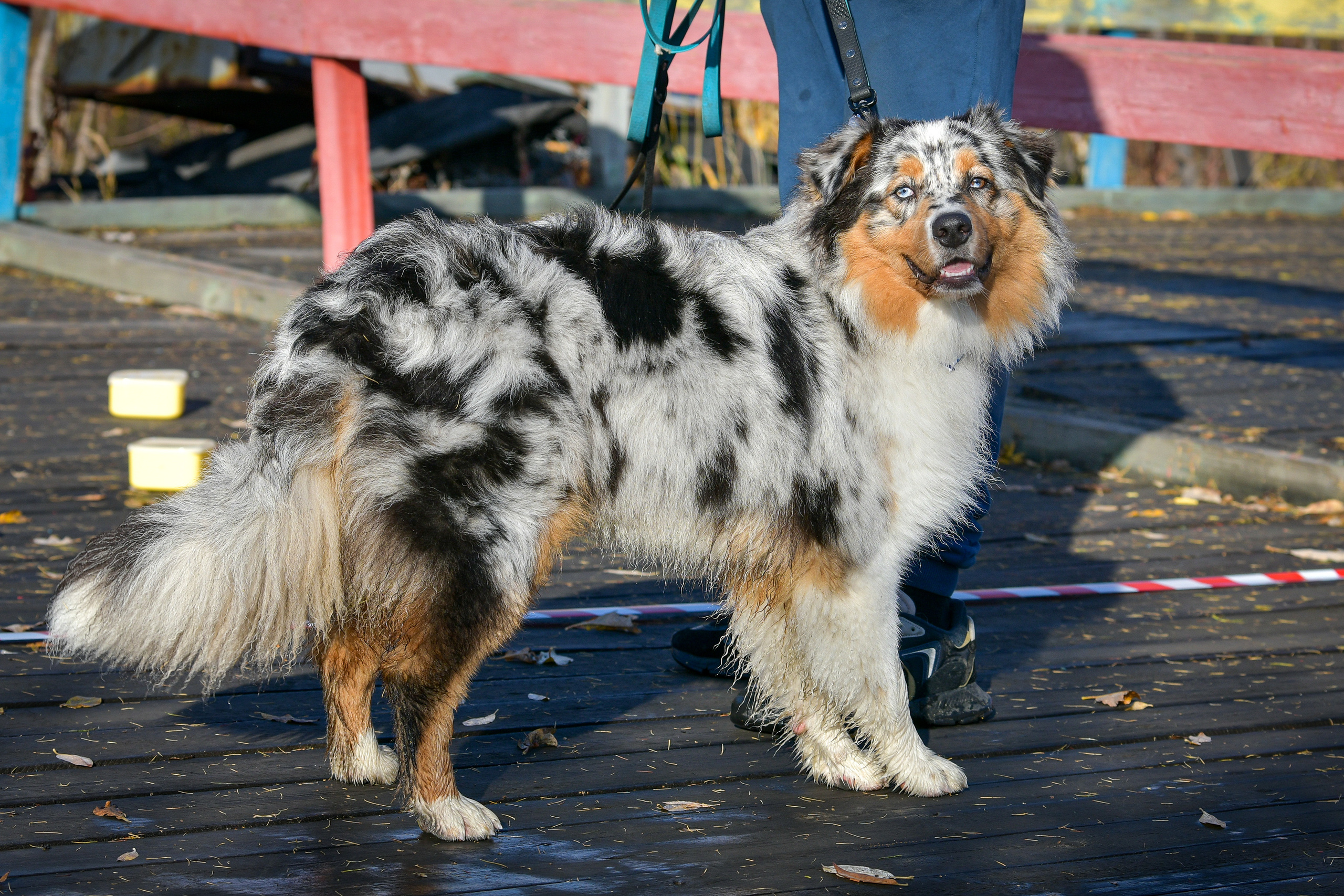 Ноузворк 17 сентября 2023. Свой взгляд через объектив