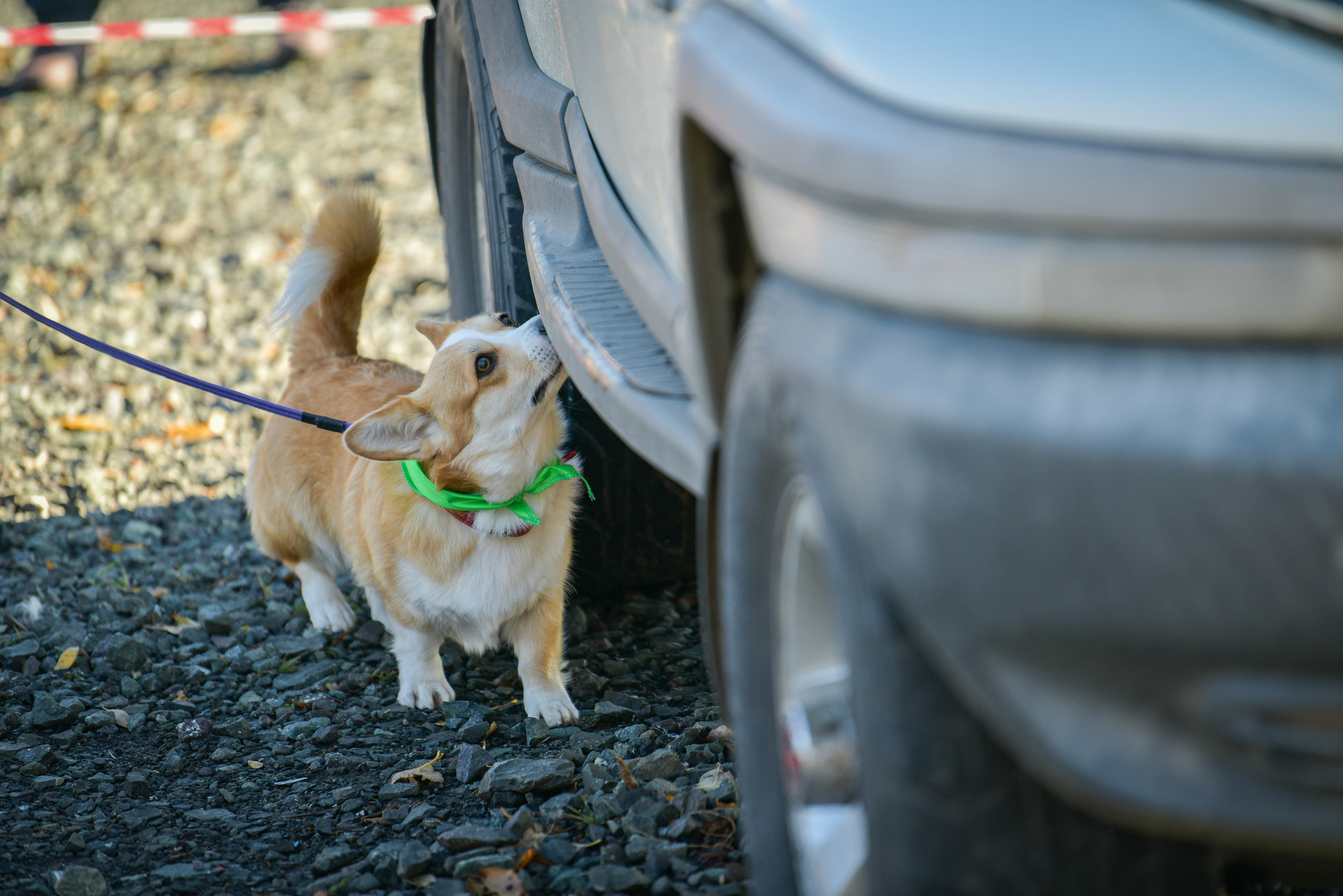 Ноузворк 17 сентября 2023. Свой взгляд через объектив