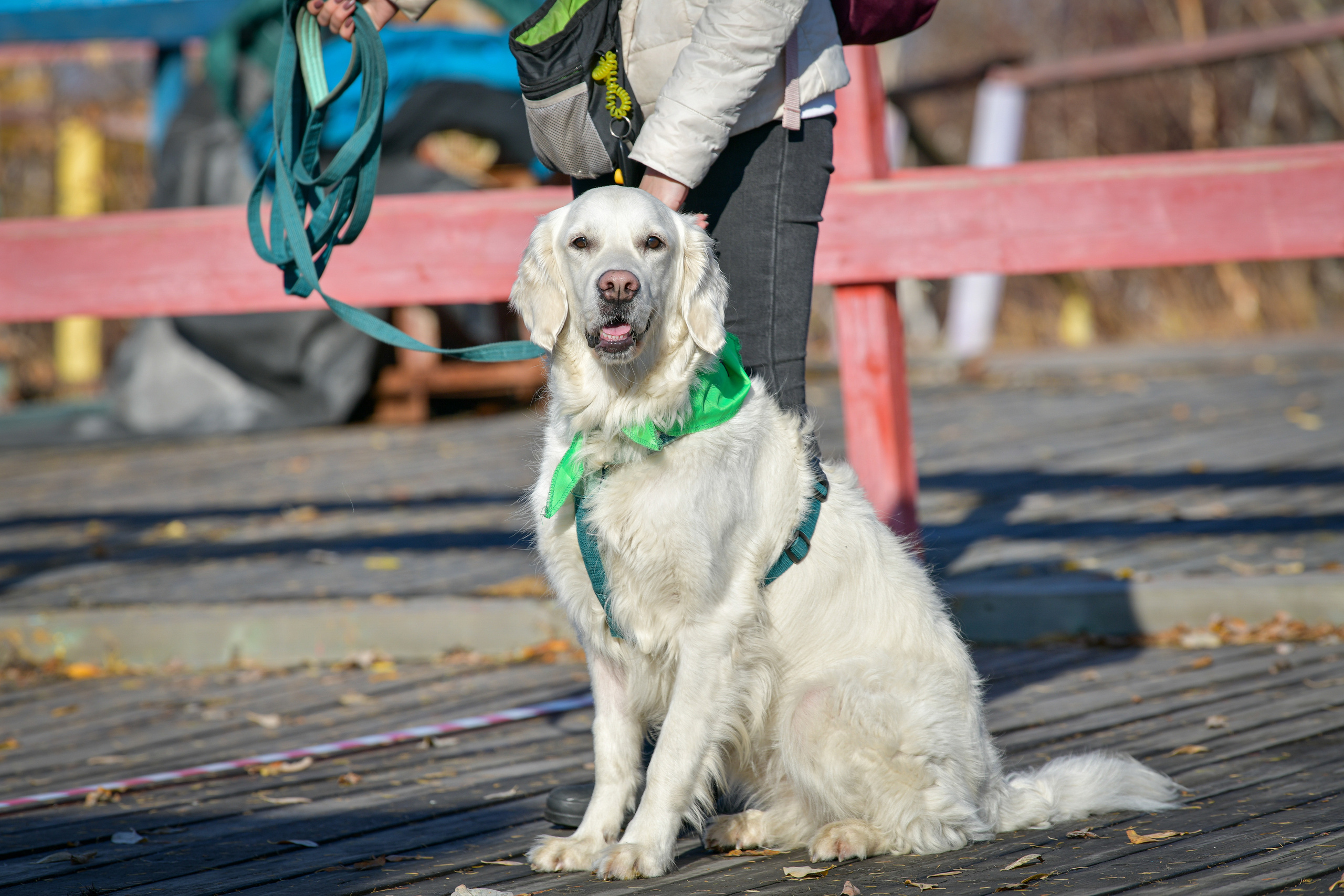 Ноузворк 17 сентября 2023. Свой взгляд через объектив