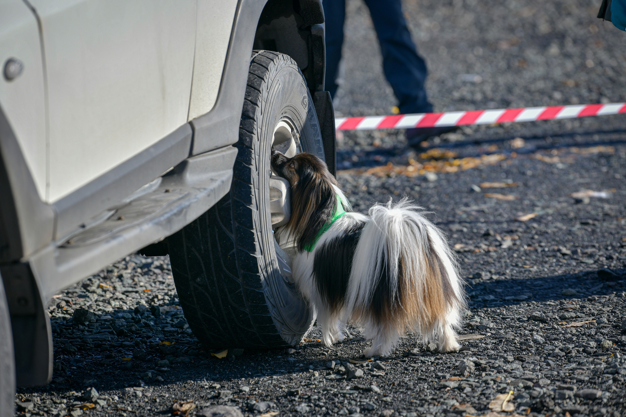 Ноузворк 17 сентября 2023. Свой взгляд через объектив