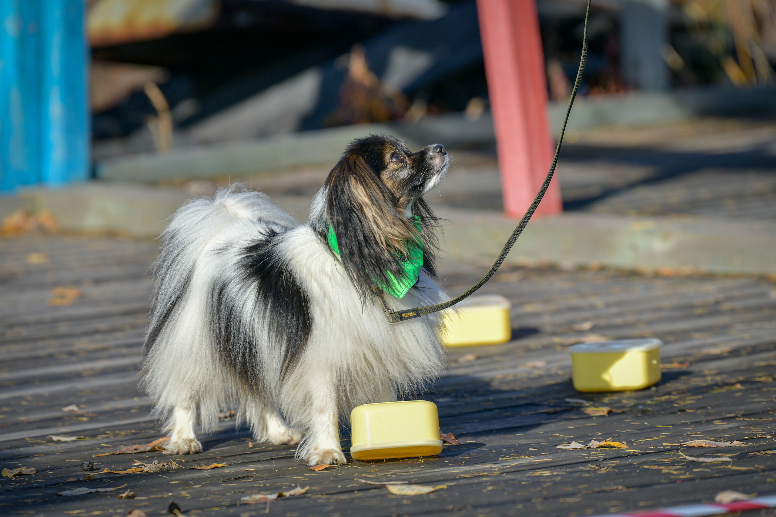 Ноузворк 17 сентября 2023. Свой взгляд через объектив