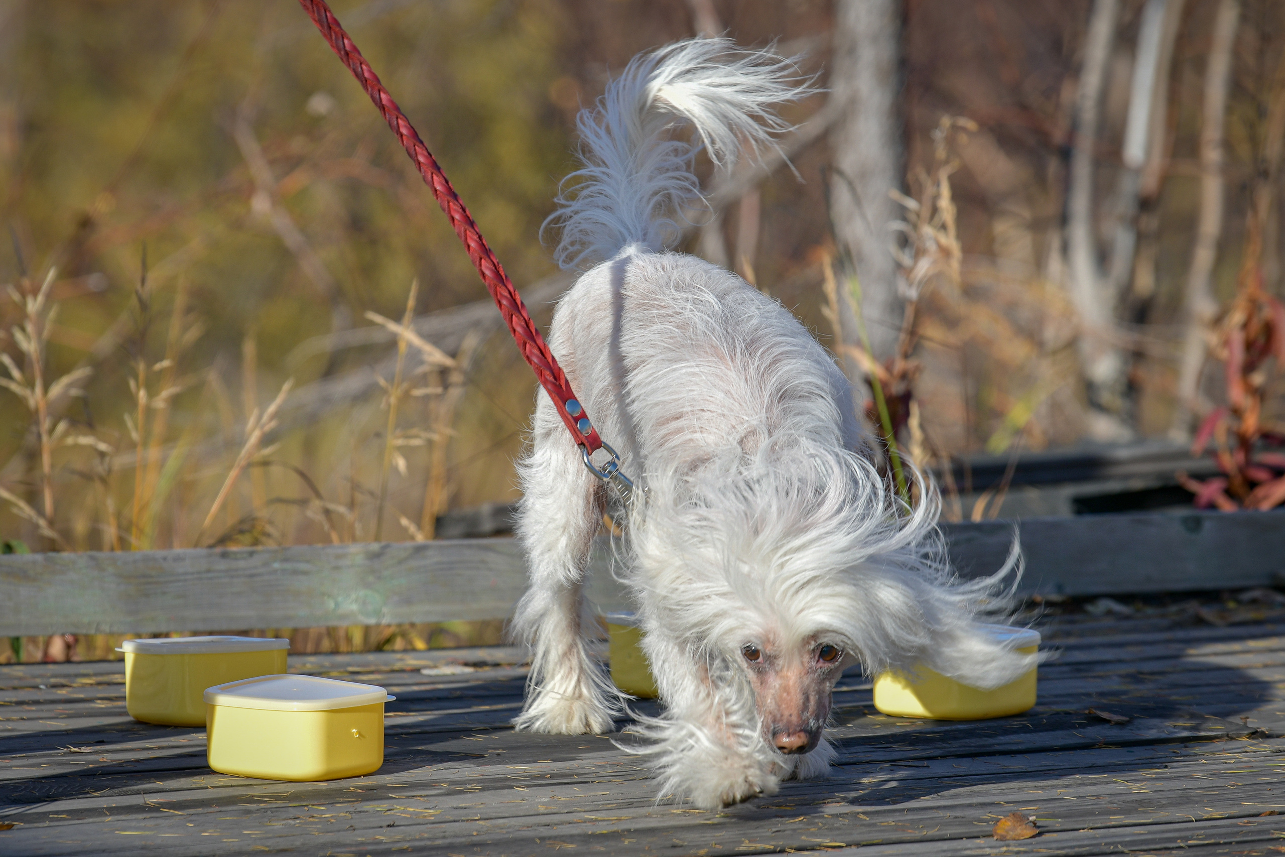 Ноузворк 17 сентября 2023. Свой взгляд через объектив