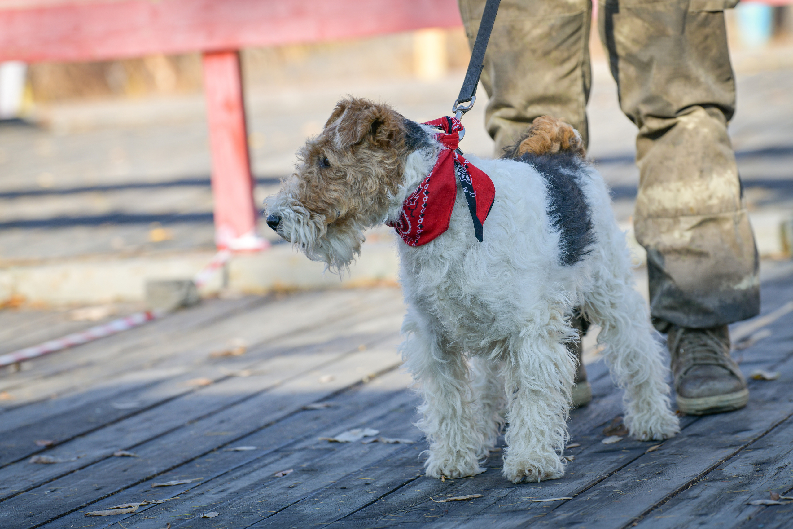 Ноузворк 17 сентября 2023. Свой взгляд через объектив