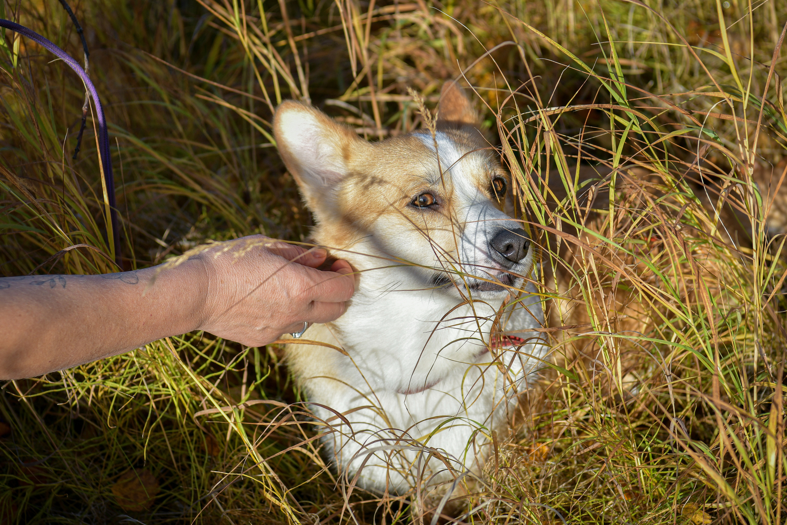 Ноузворк 17 сентября 2023. Свой взгляд через объектив