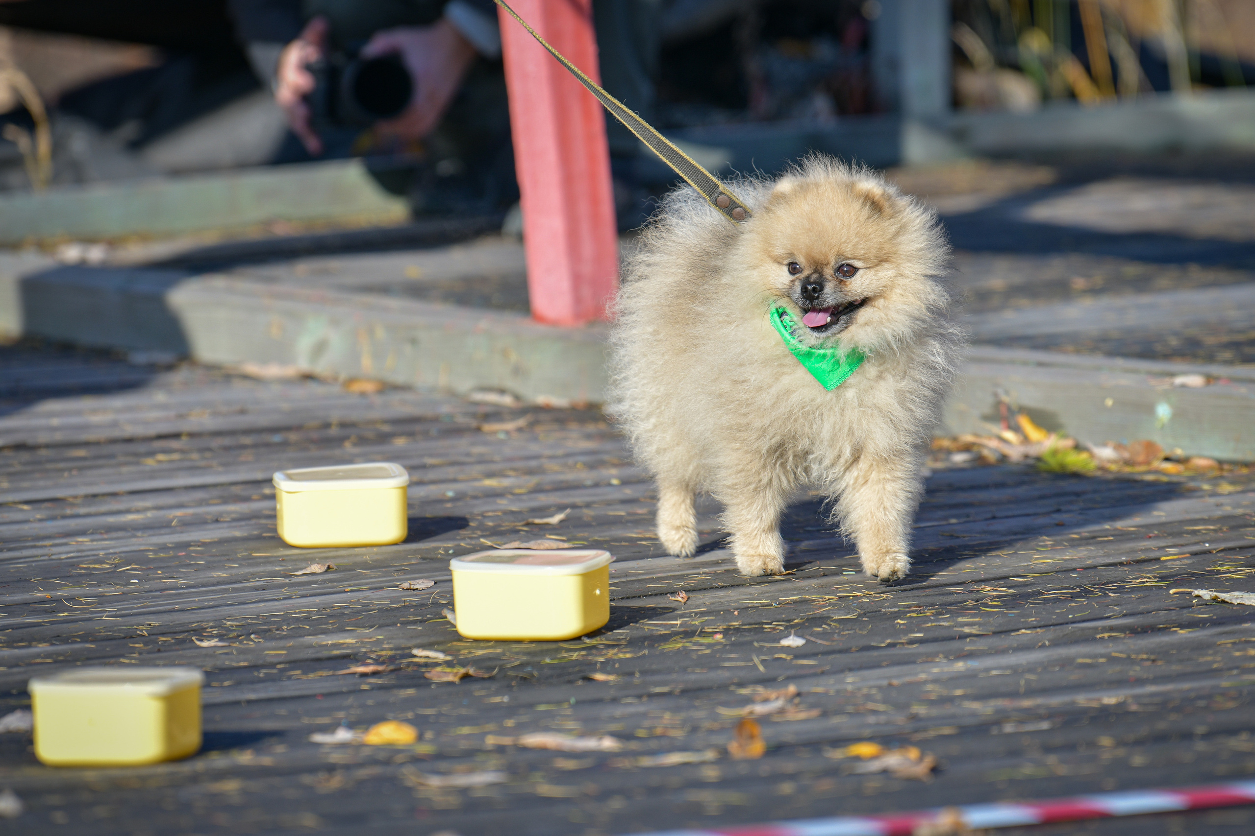 Ноузворк 17 сентября 2023. Свой взгляд через объектив