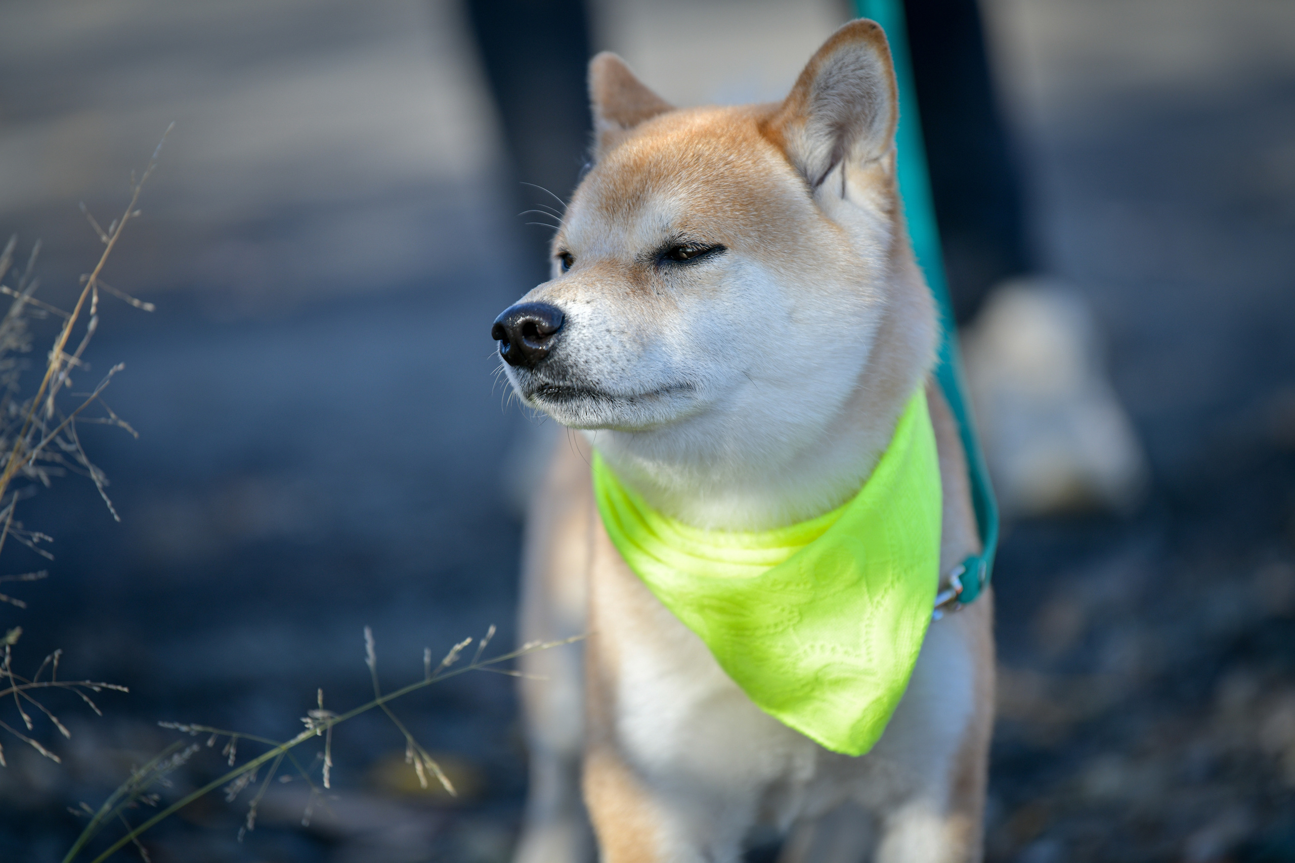 Ноузворк 17 сентября 2023. Свой взгляд через объектив