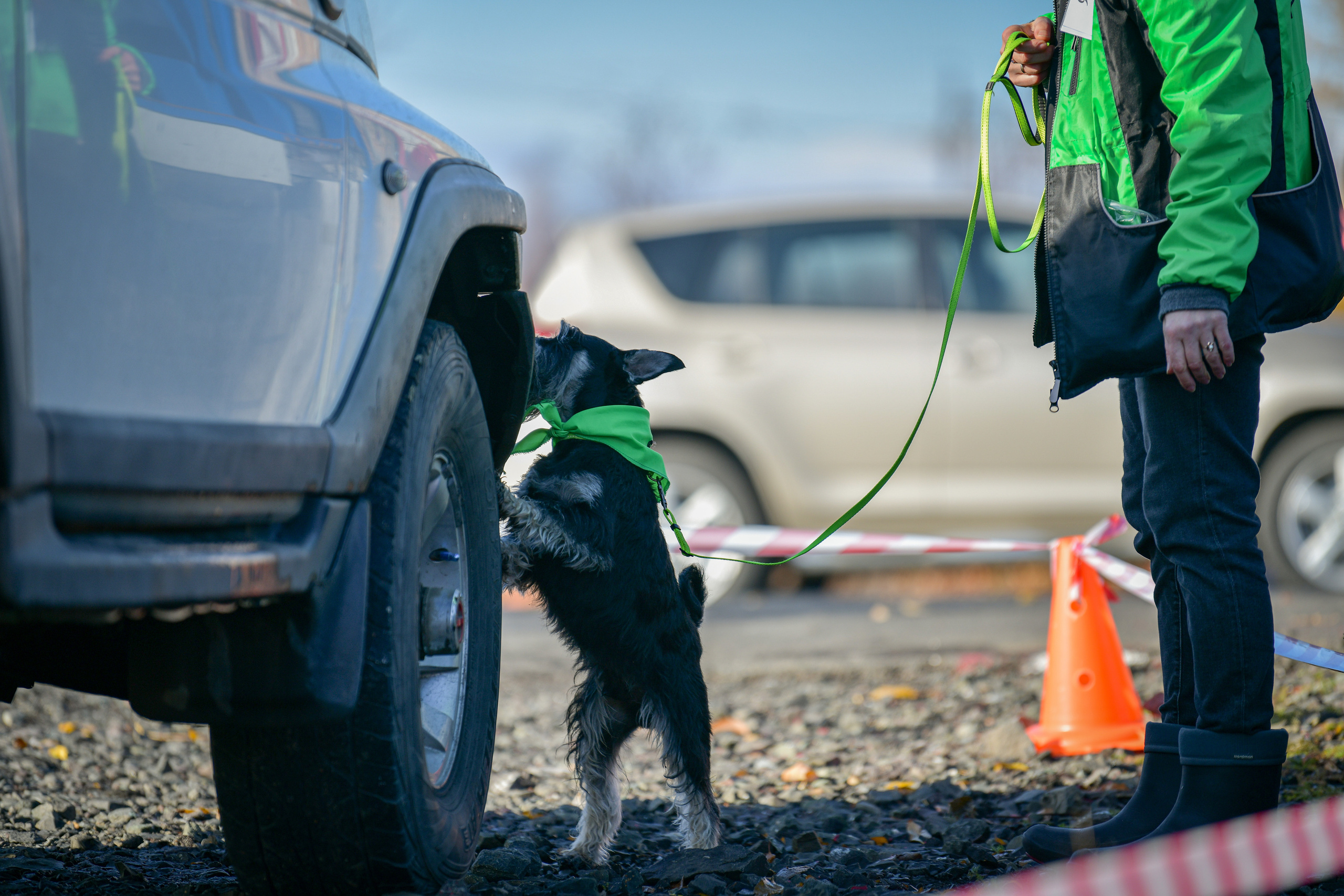 Ноузворк 17 сентября 2023. Свой взгляд через объектив