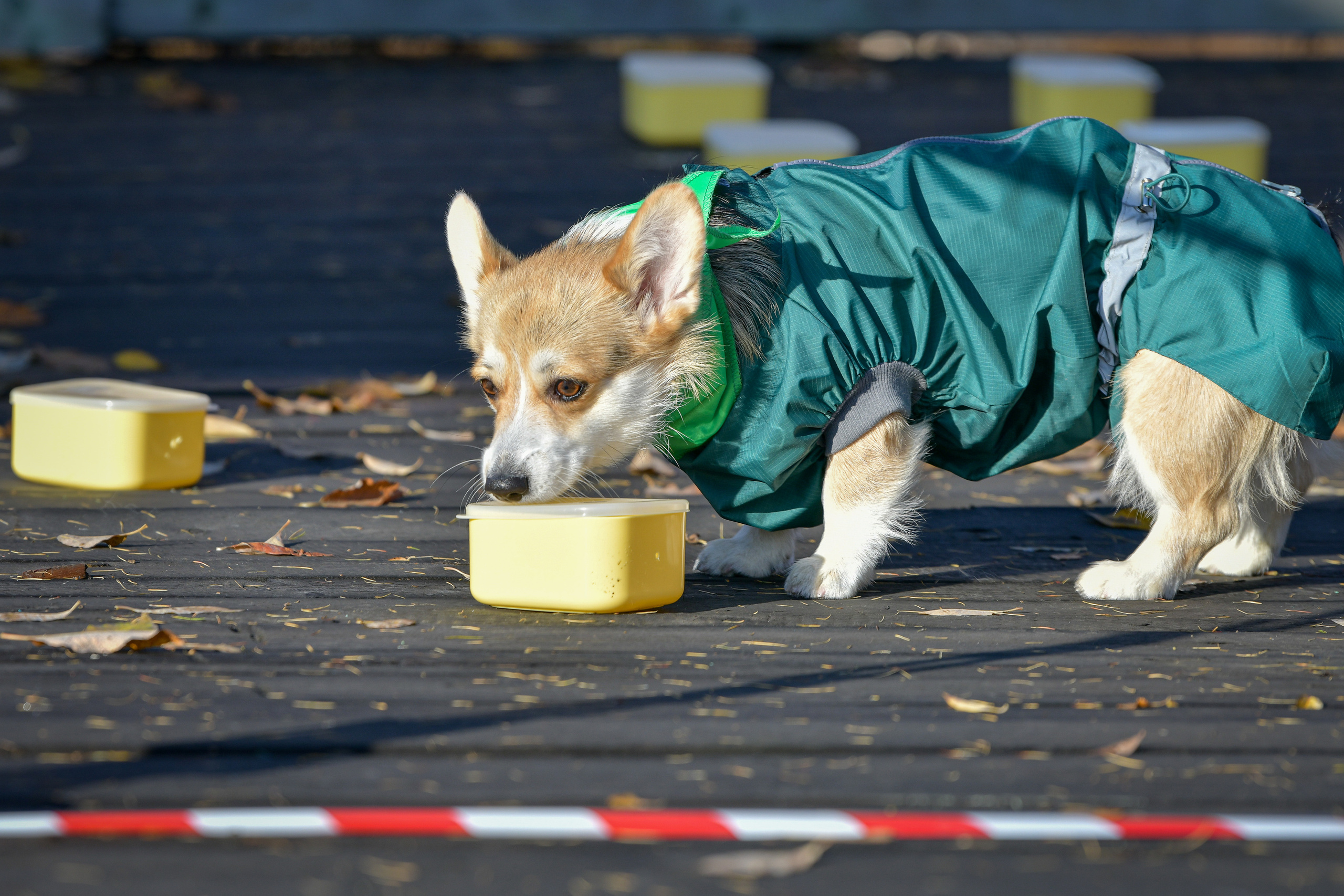 Ноузворк 17 сентября 2023. Свой взгляд через объектив