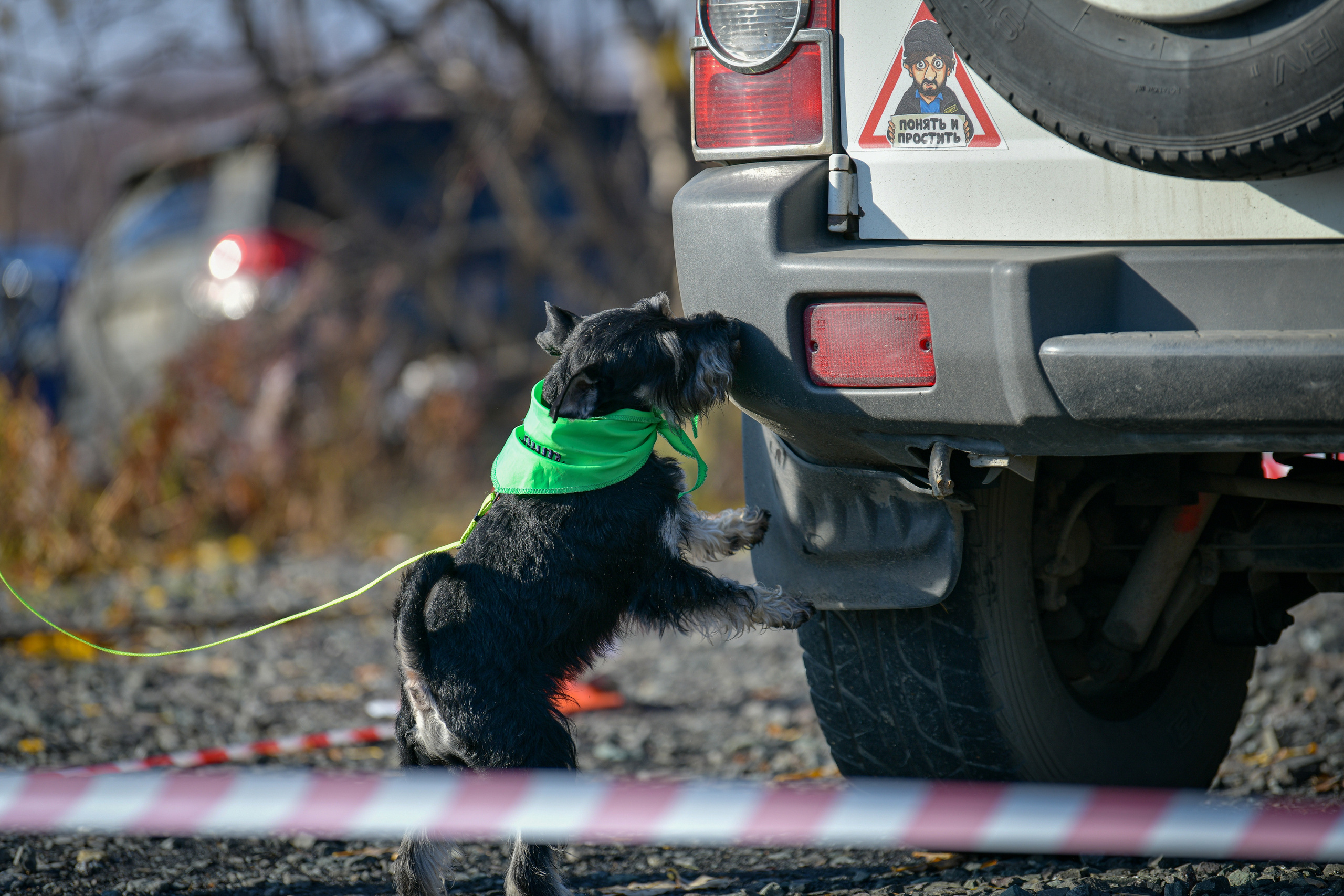 Ноузворк 17 сентября 2023. Свой взгляд через объектив