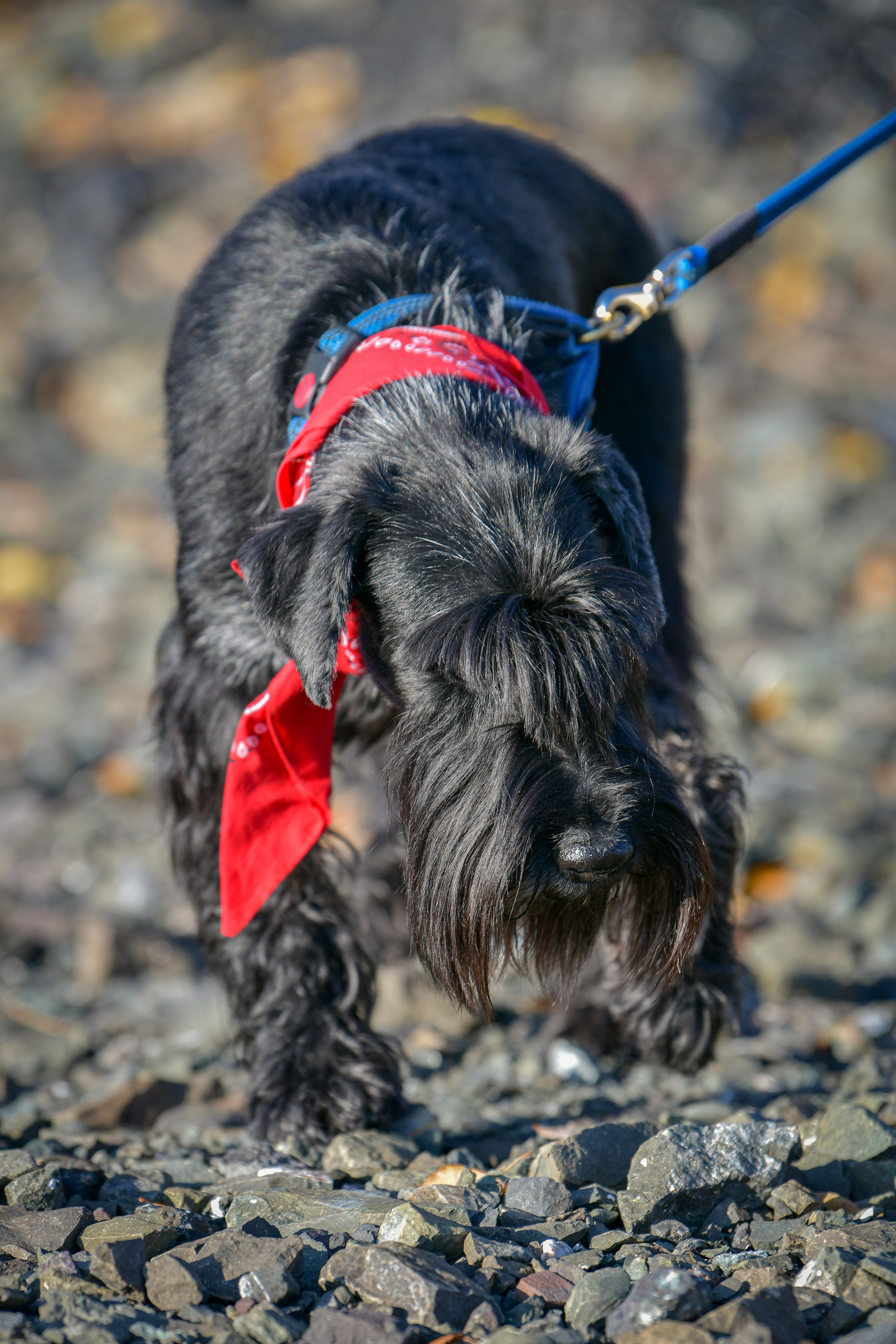 Ноузворк 17 сентября 2023. Свой взгляд через объектив