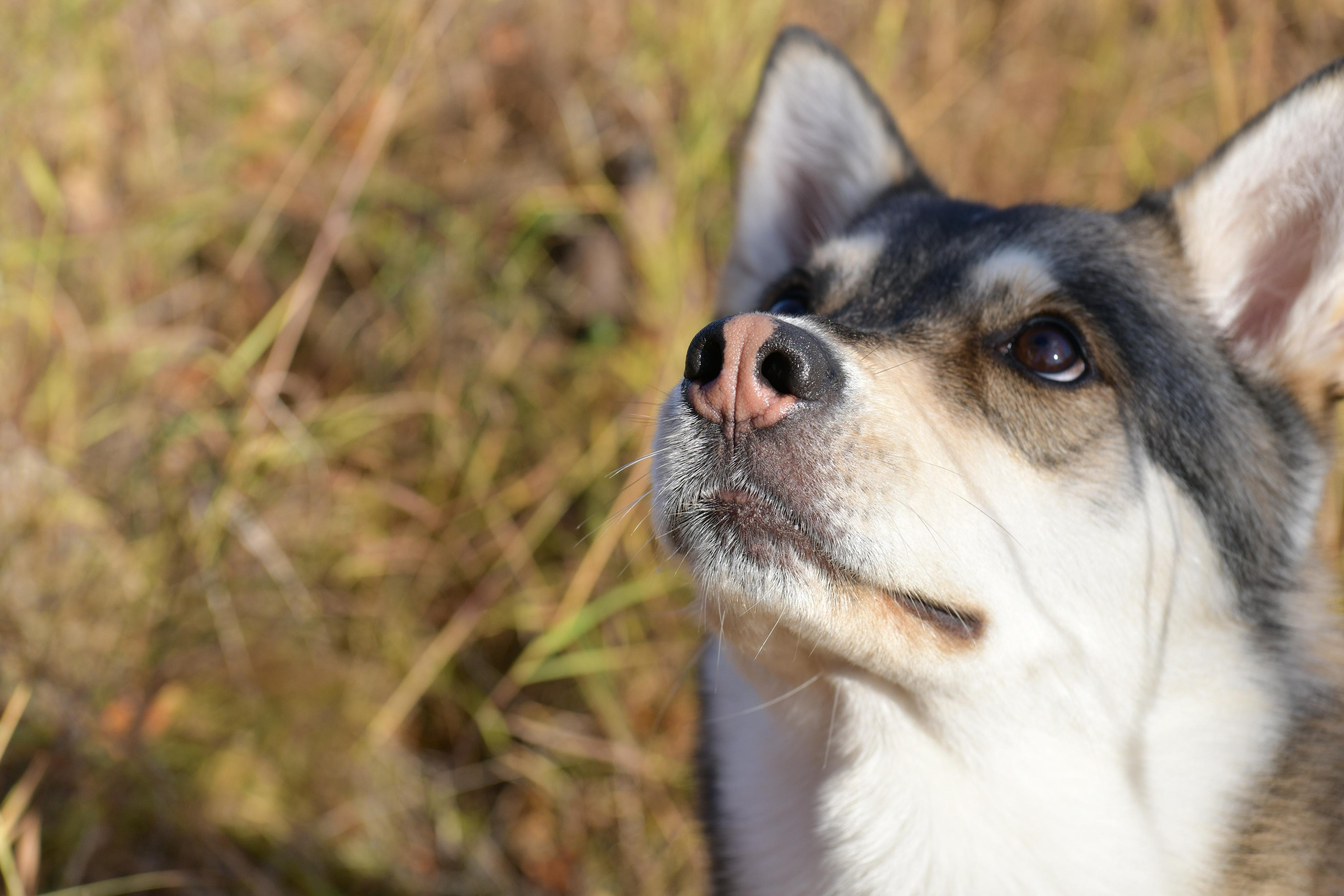 Ноузворк 17 сентября 2023. Свой взгляд через объектив