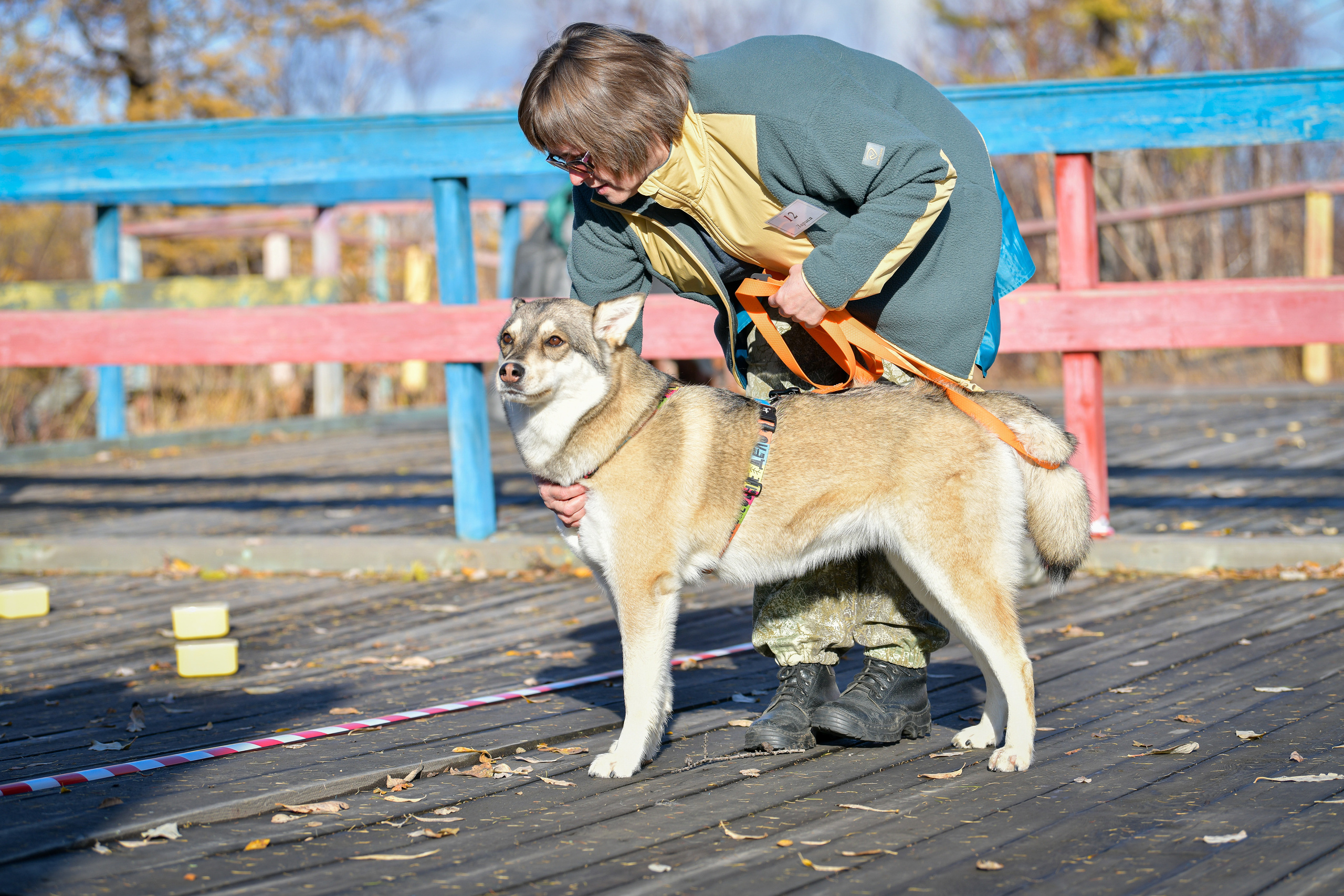 Ноузворк 17 сентября 2023. Свой взгляд через объектив