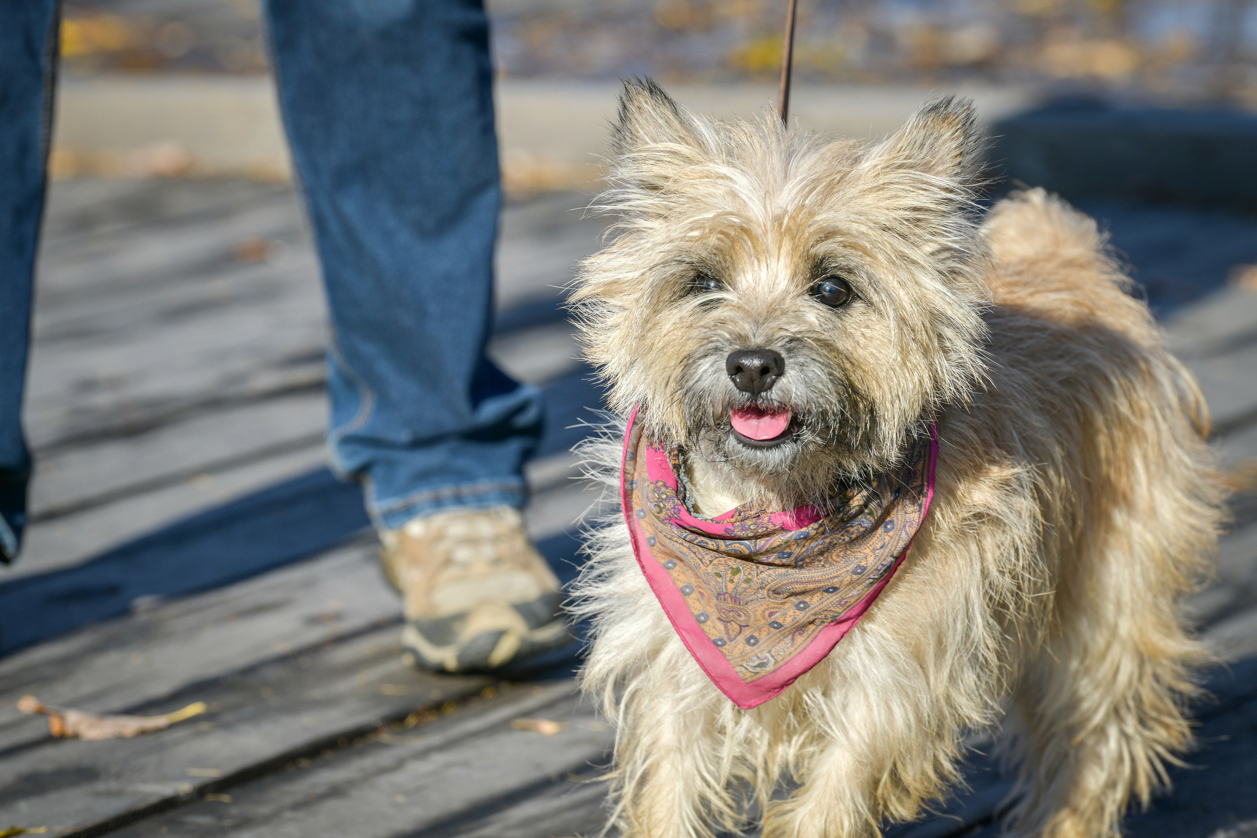 Ноузворк 17 сентября 2023. Свой взгляд через объектив