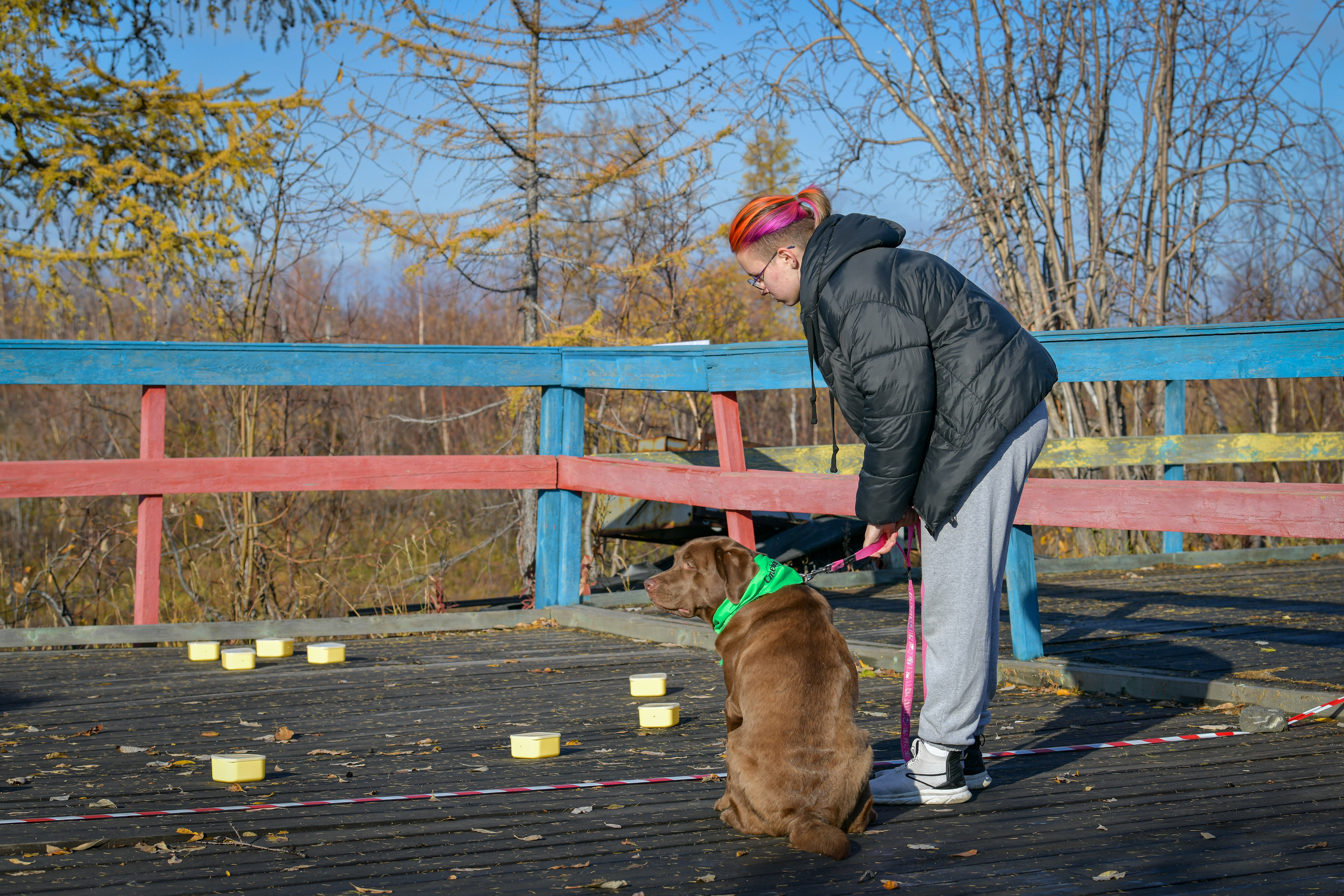 Ноузворк 17 сентября 2023. Свой взгляд через объектив