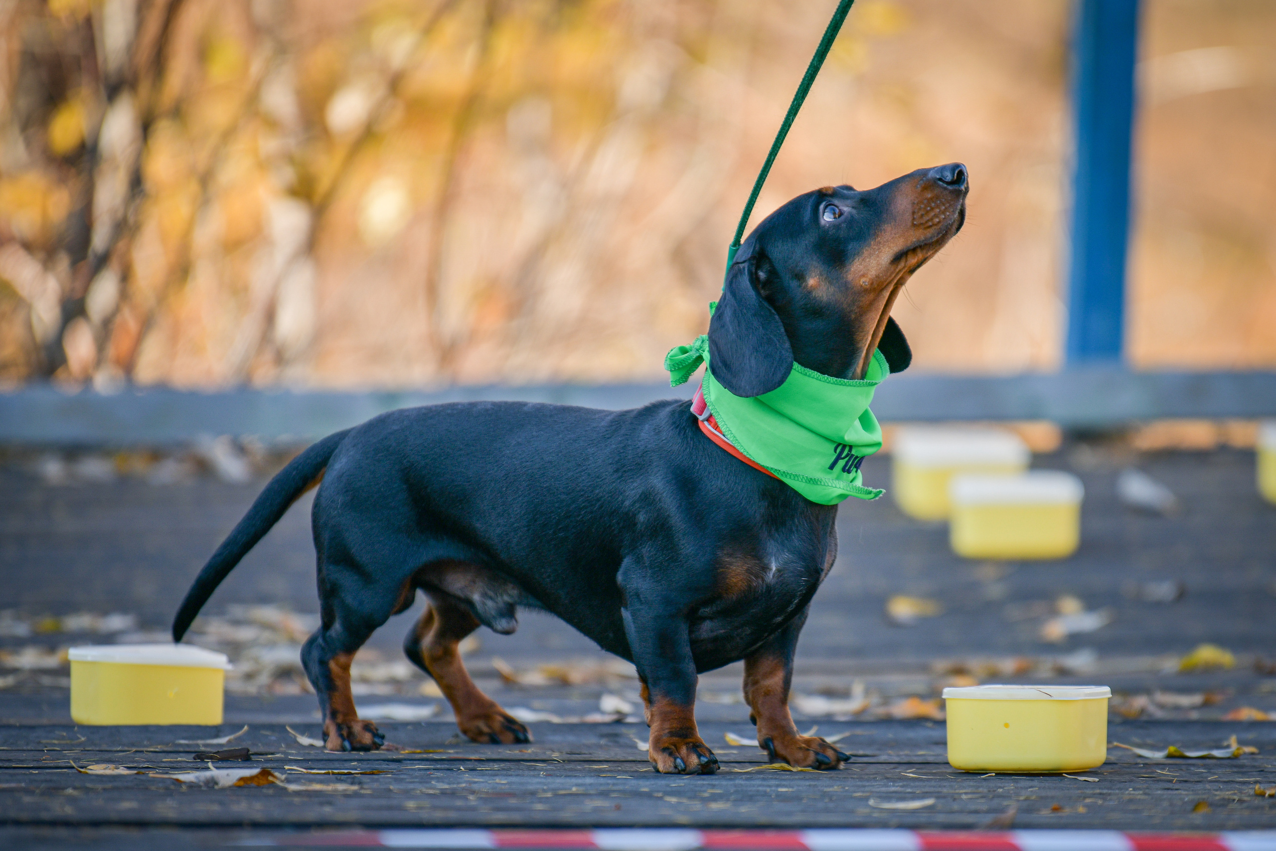 Ноузворк 17 сентября 2023. Свой взгляд через объектив
