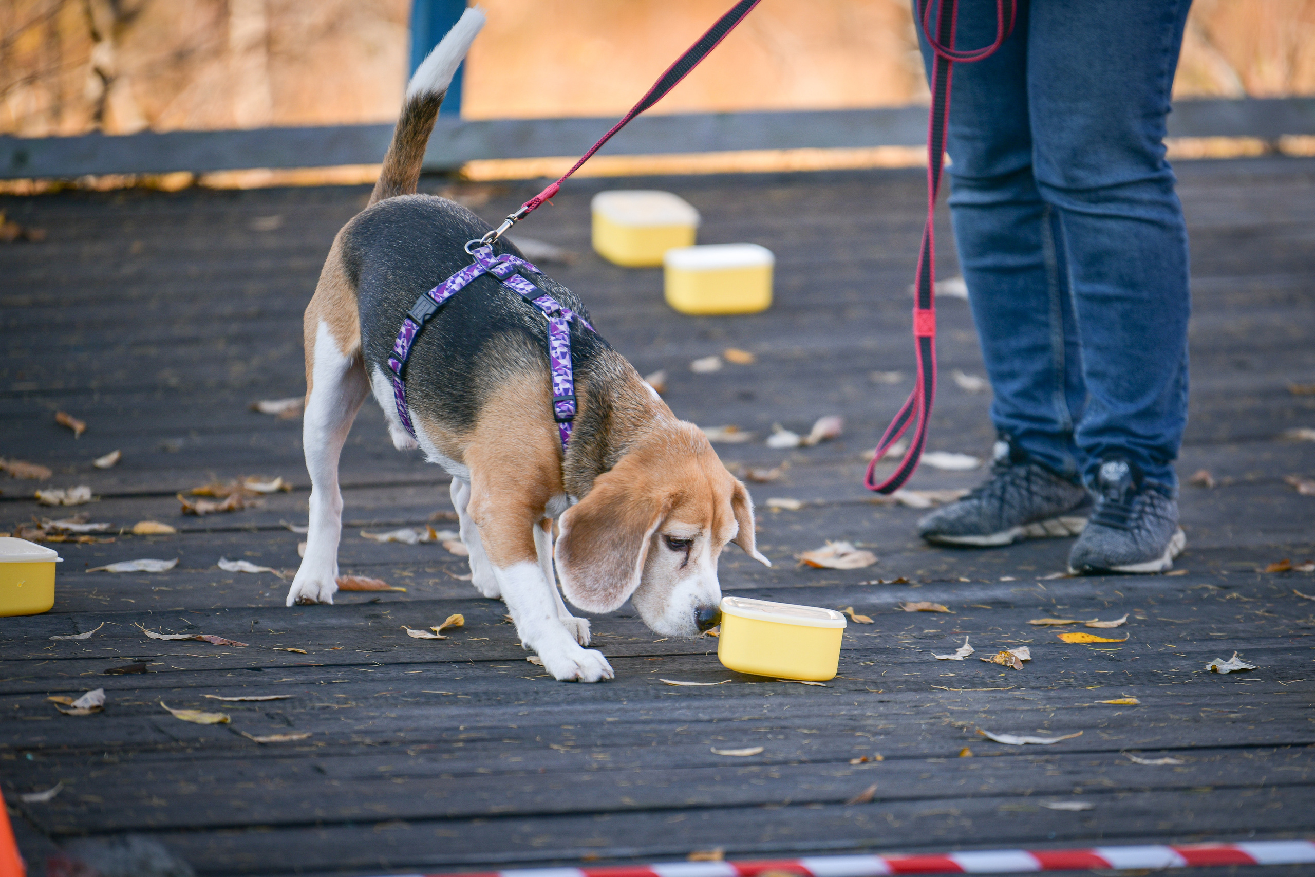 Ноузворк 17 сентября 2023. Свой взгляд через объектив