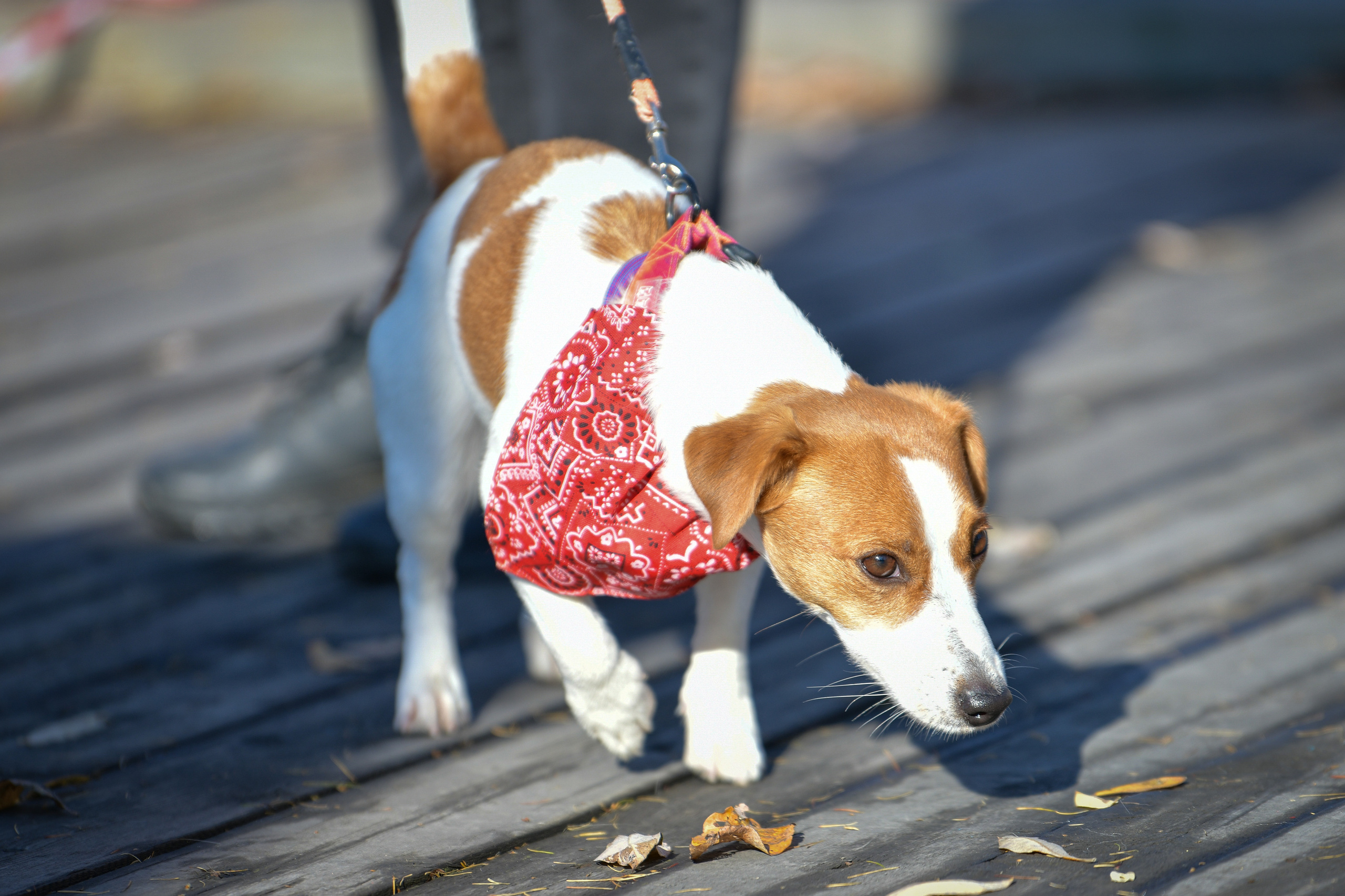 Ноузворк 17 сентября 2023. Свой взгляд через объектив