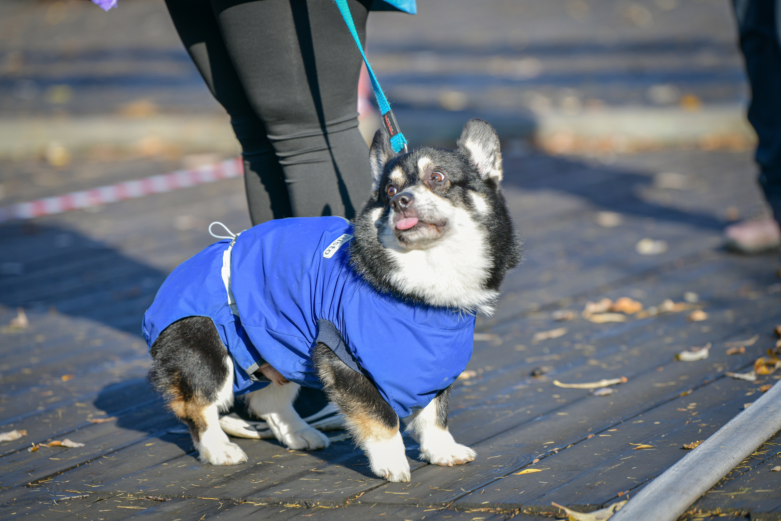 Ноузворк 17 сентября 2023. Свой взгляд через объектив