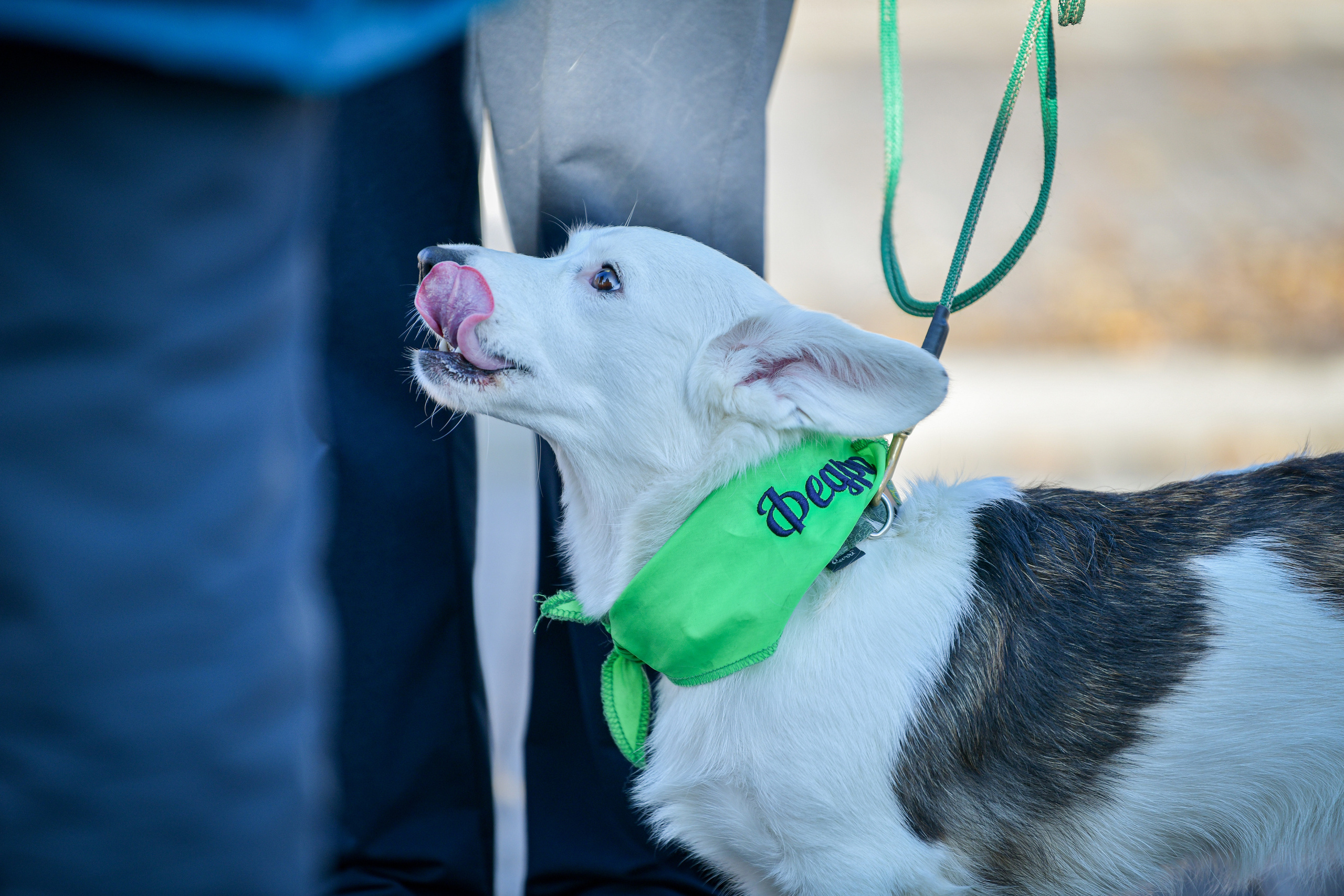 Ноузворк 17 сентября 2023. Свой взгляд через объектив