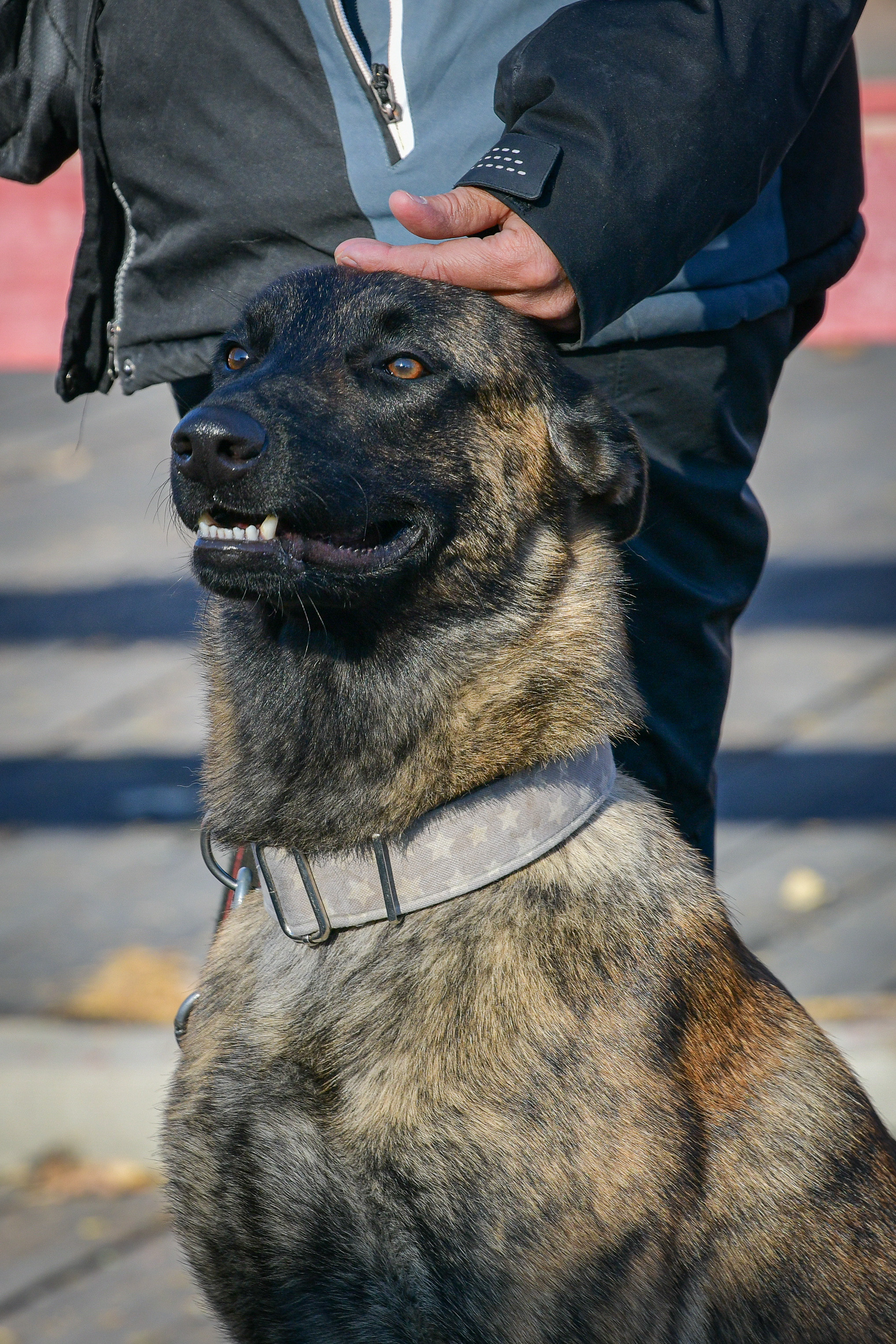 Ноузворк 17 сентября 2023. Свой взгляд через объектив