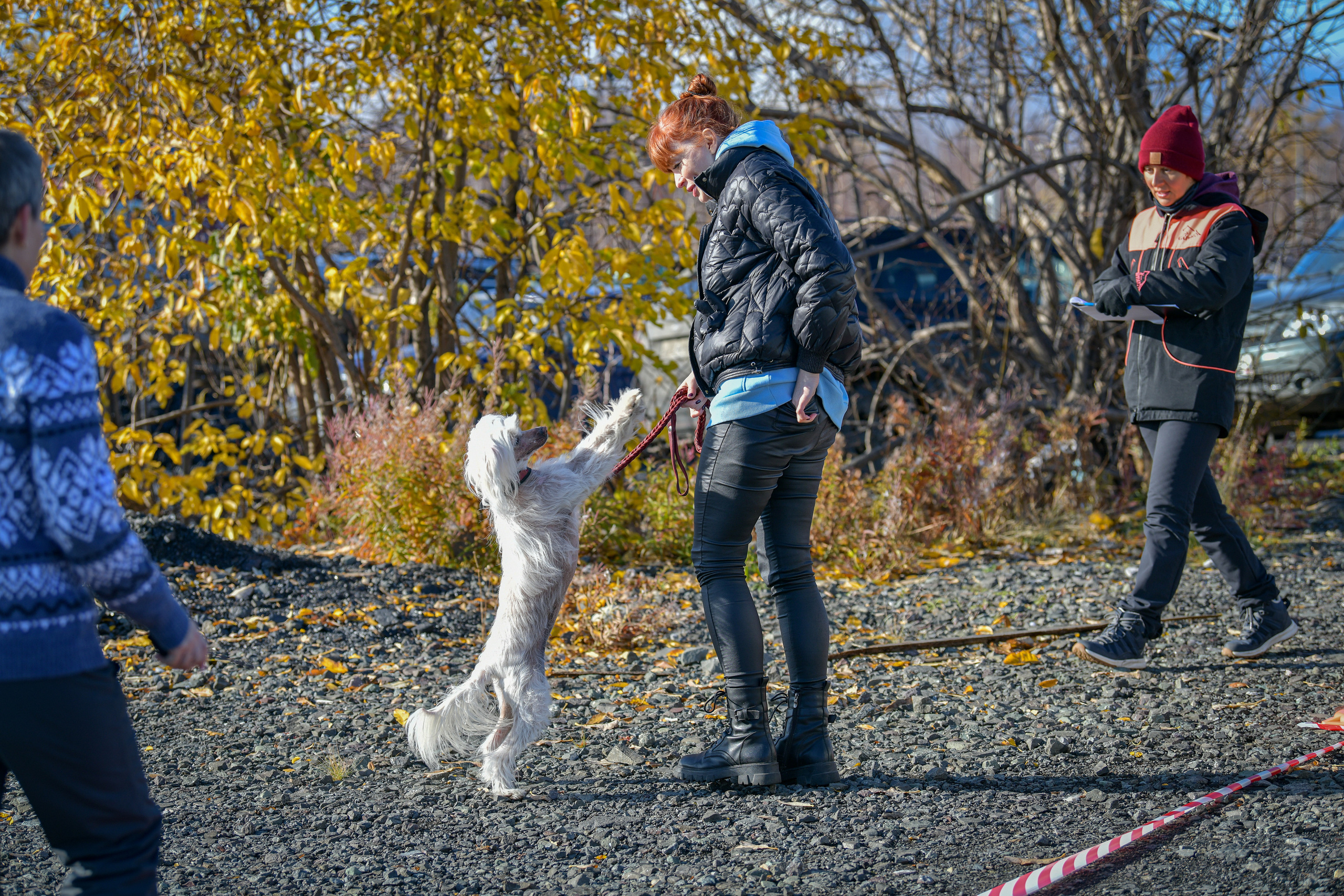 Ноузворк 17 сентября 2023. Свой взгляд через объектив