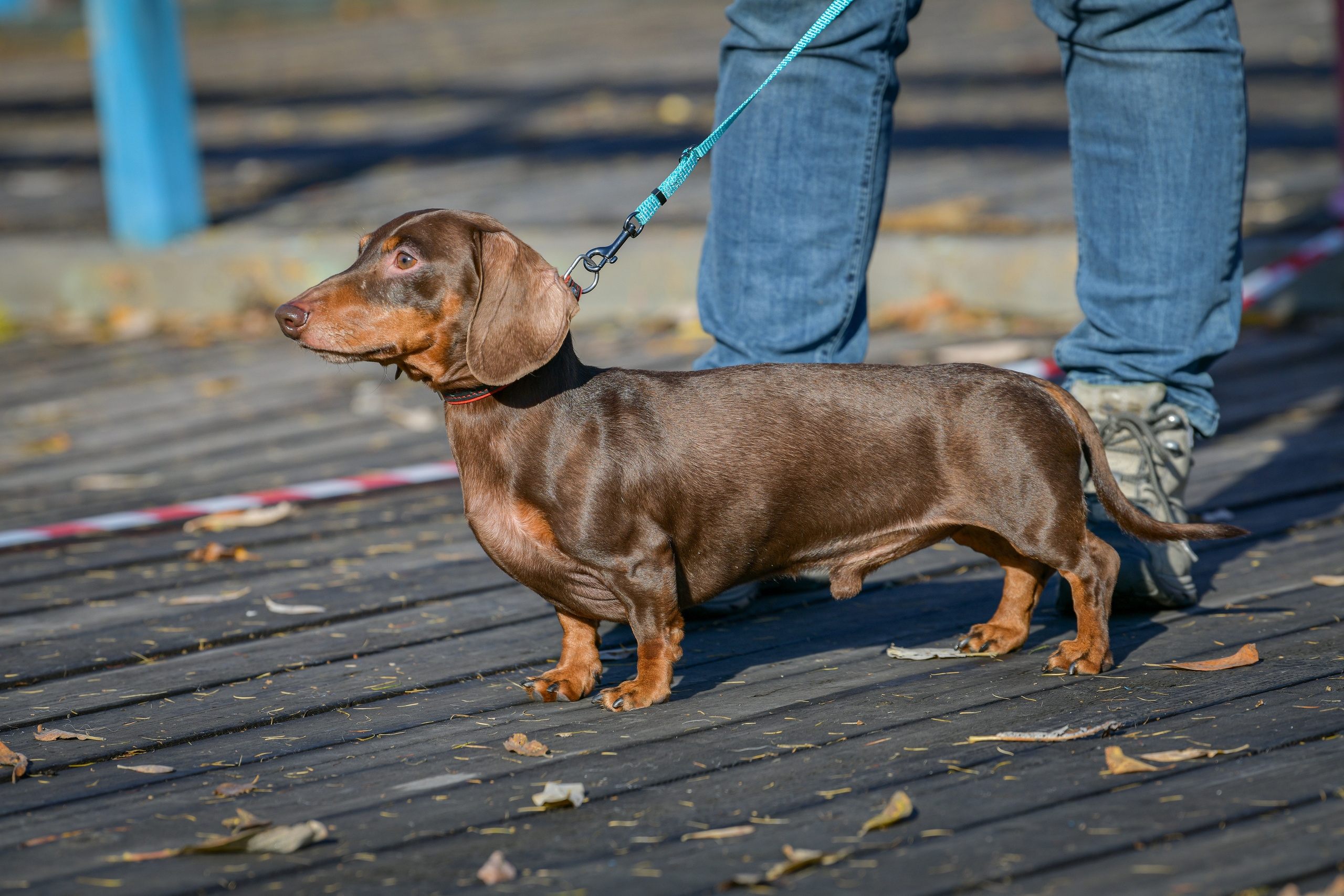 Ноузворк 17 сентября 2023. Свой взгляд через объектив