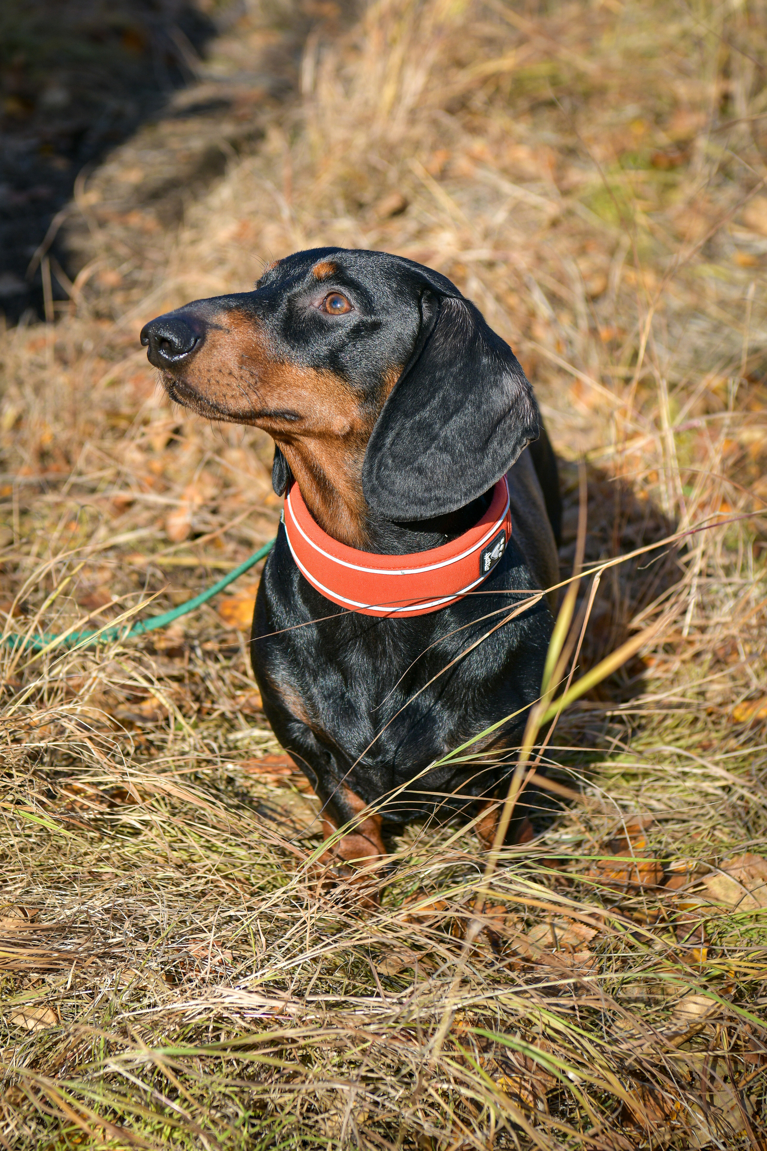 Ноузворк 17 сентября 2023. Свой взгляд через объектив