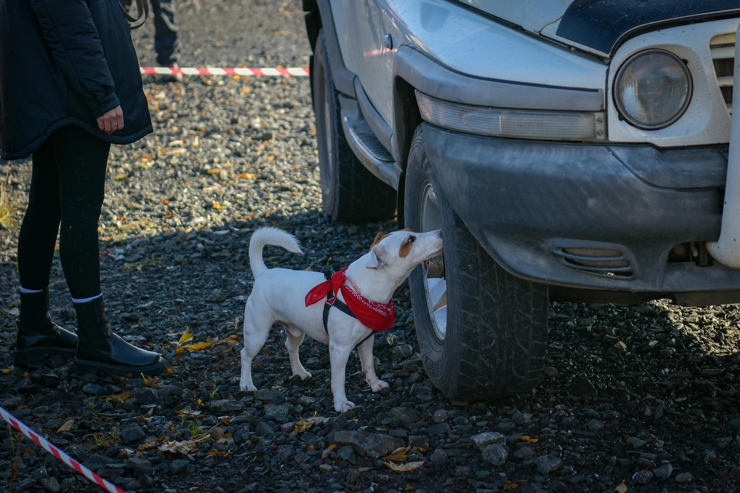 Ноузворк 17 сентября 2023. Свой взгляд через объектив