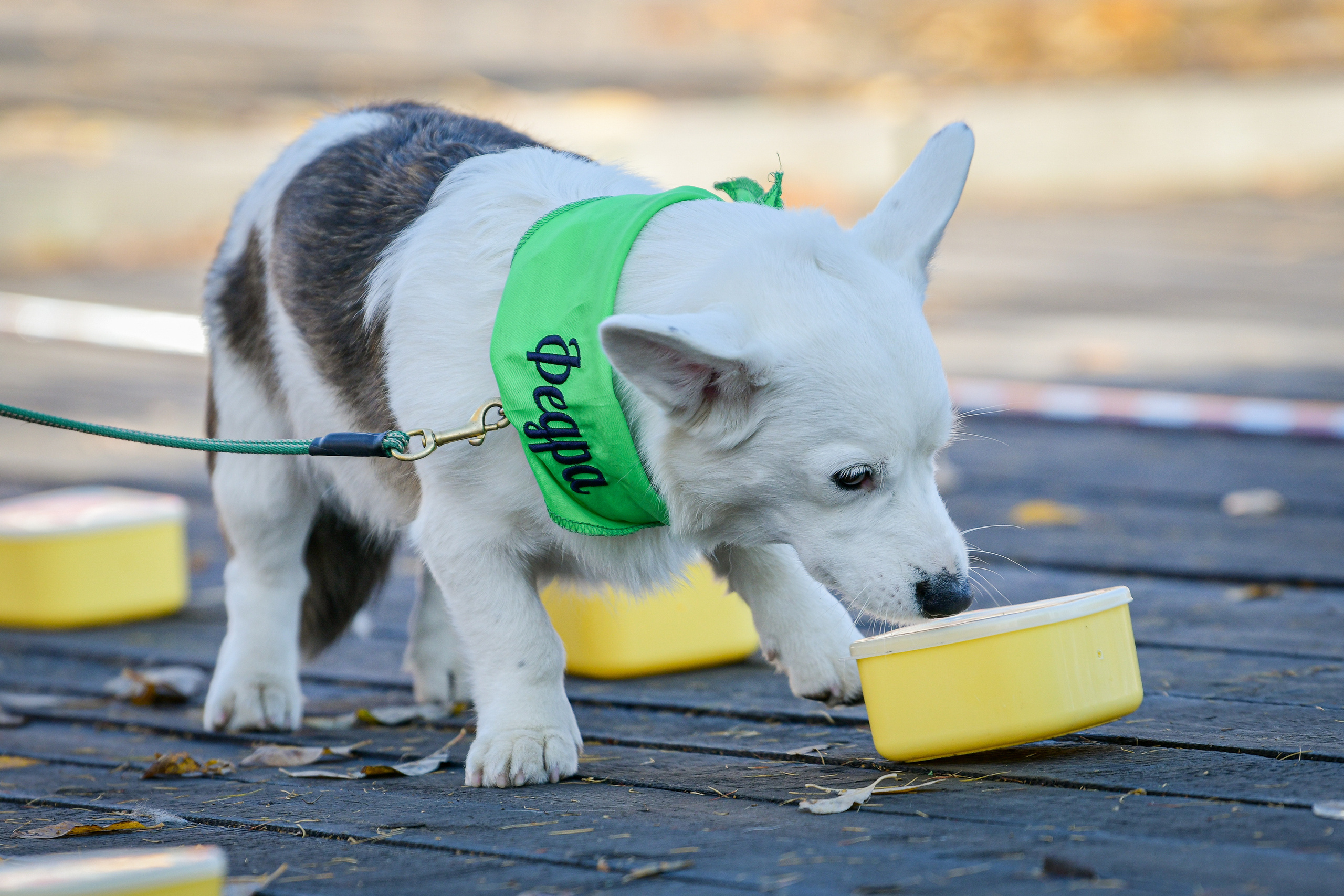 Ноузворк 17 сентября 2023. Свой взгляд через объектив