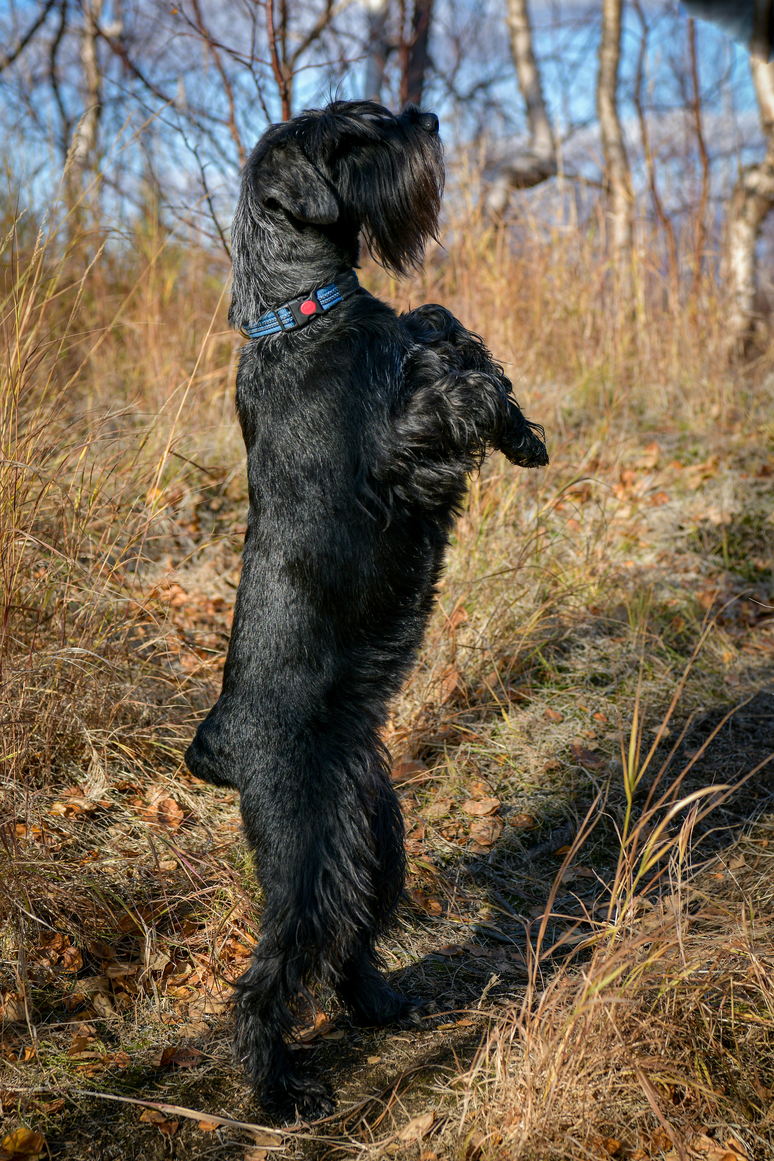 Ноузворк 17 сентября 2023. Свой взгляд через объектив