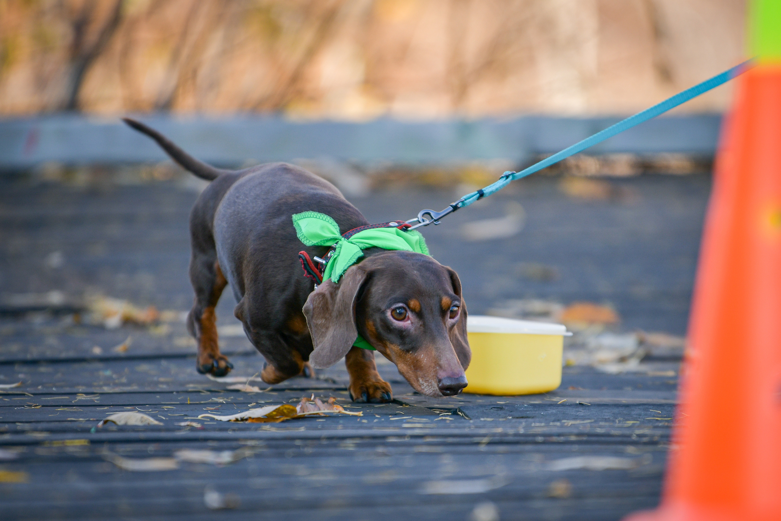 Ноузворк 17 сентября 2023. Свой взгляд через объектив