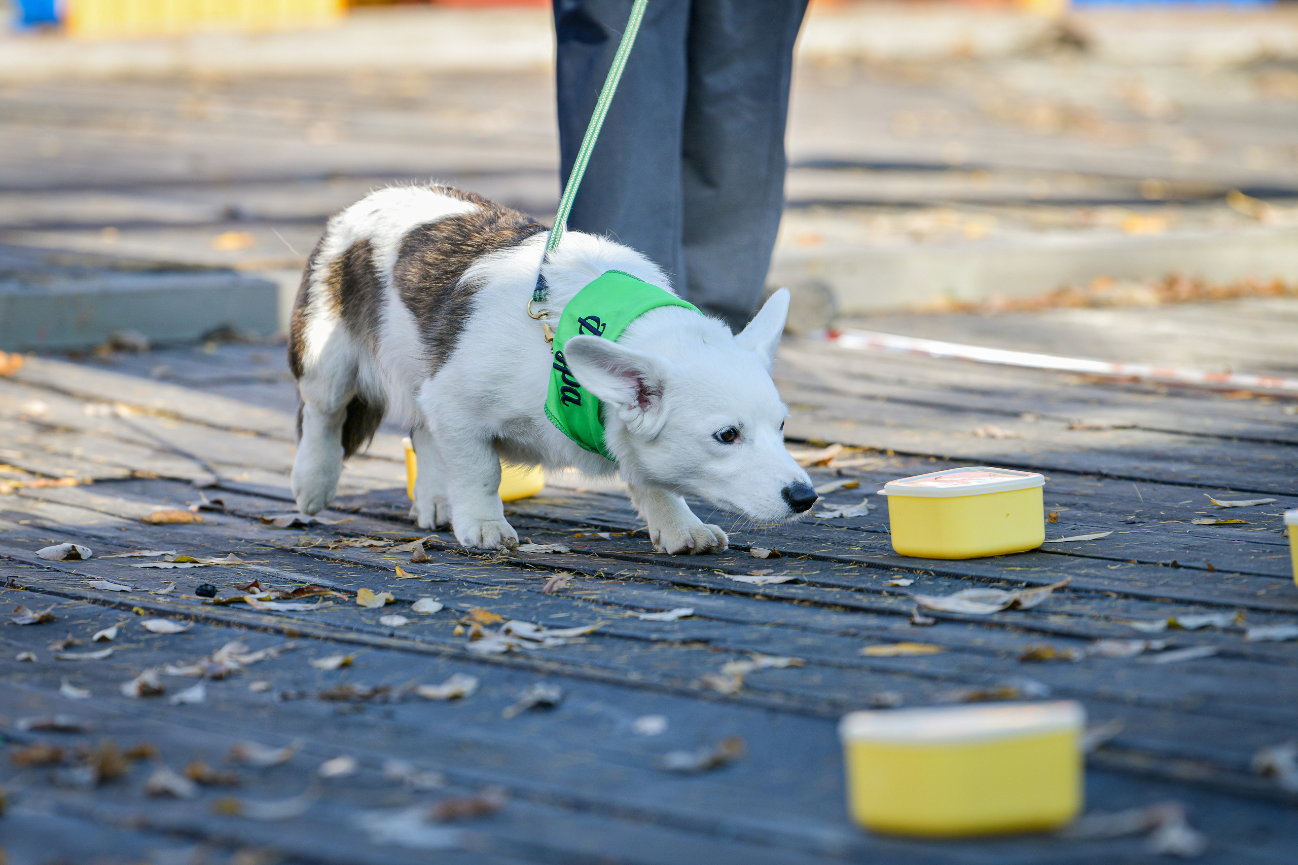 Ноузворк 17 сентября 2023. Свой взгляд через объектив