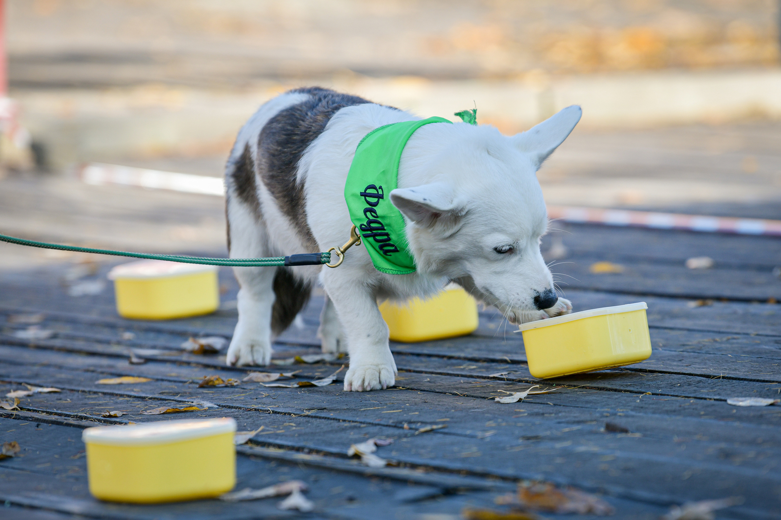 Ноузворк 17 сентября 2023. Свой взгляд через объектив