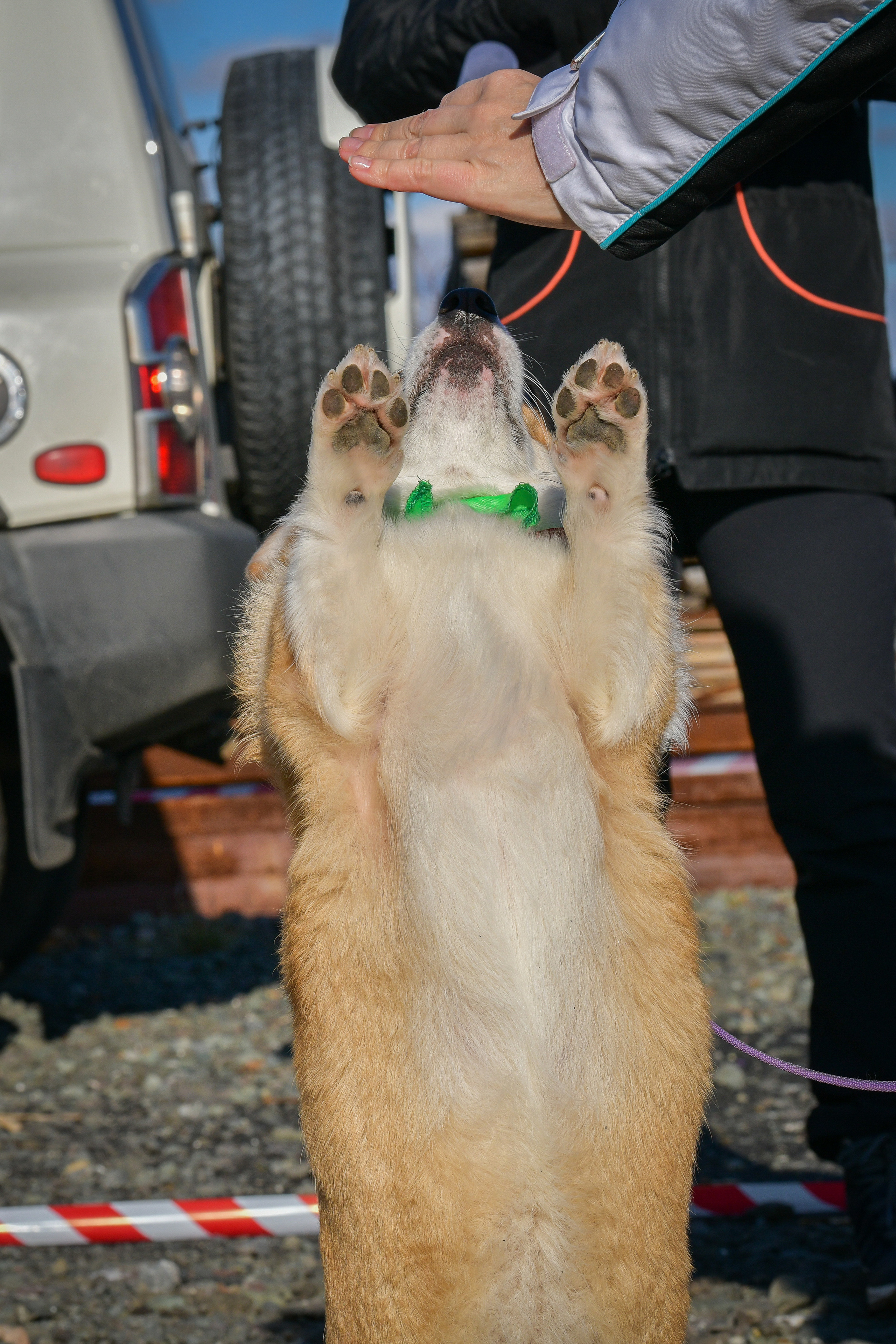 Ноузворк 17 сентября 2023. Свой взгляд через объектив