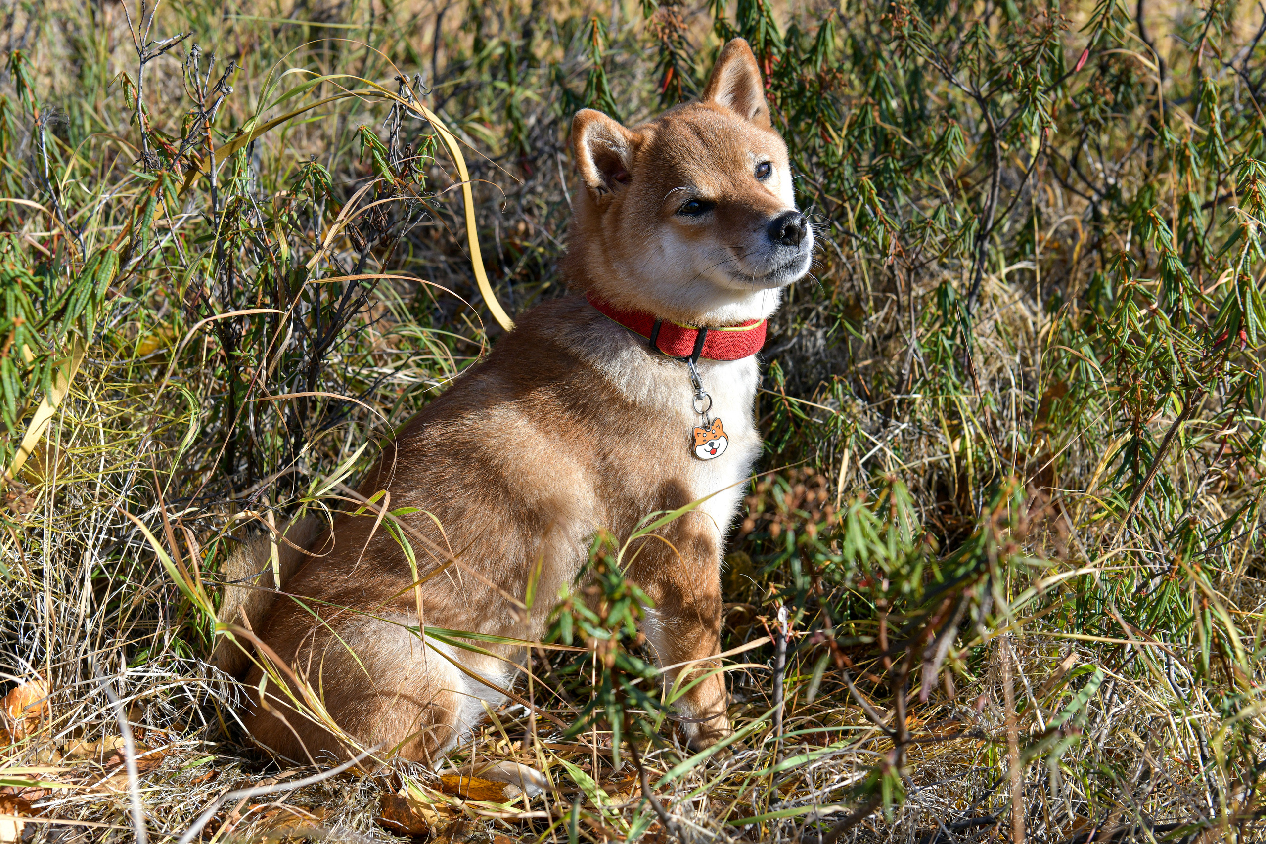 Ноузворк 17 сентября 2023. Свой взгляд через объектив