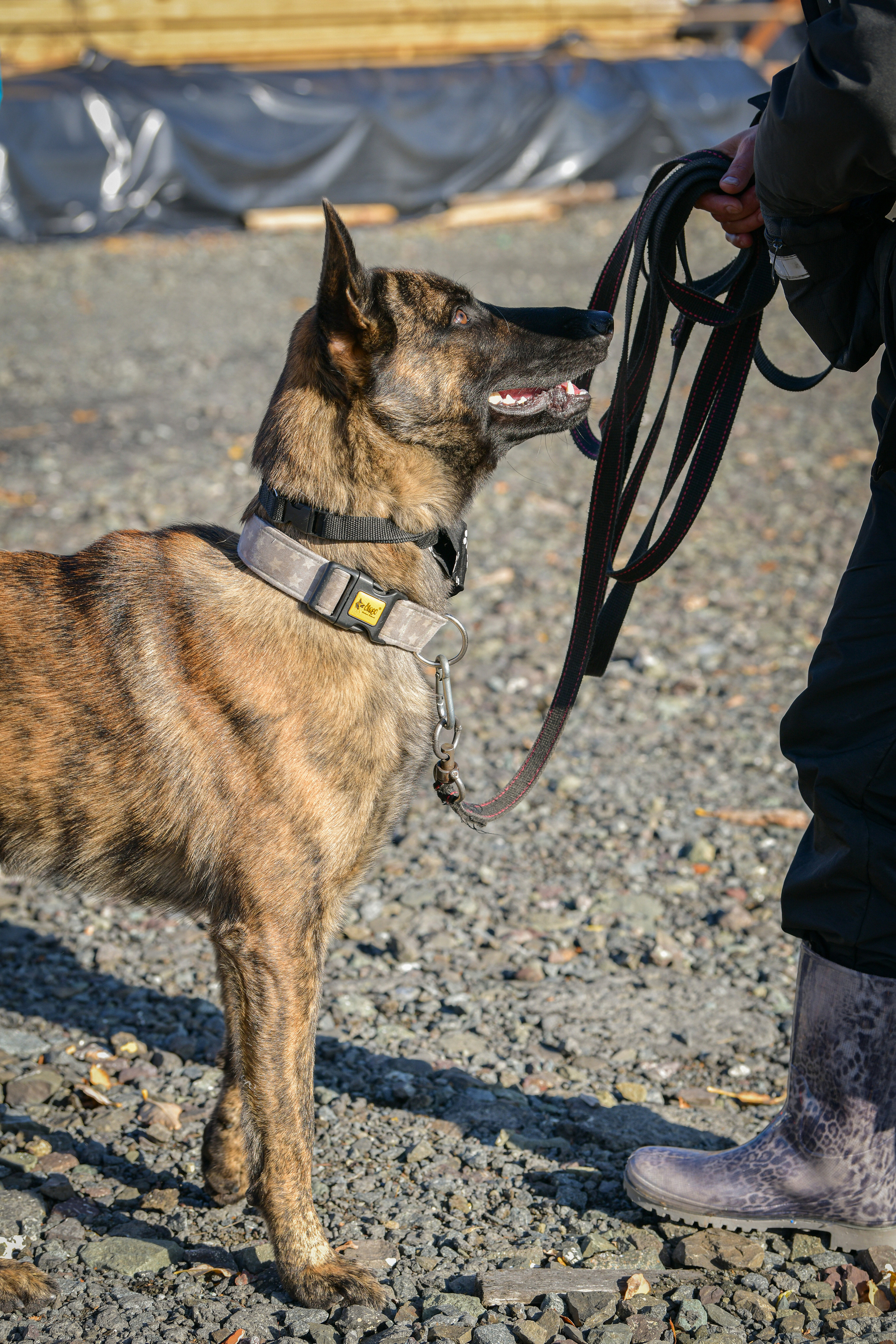 Ноузворк 17 сентября 2023. Свой взгляд через объектив