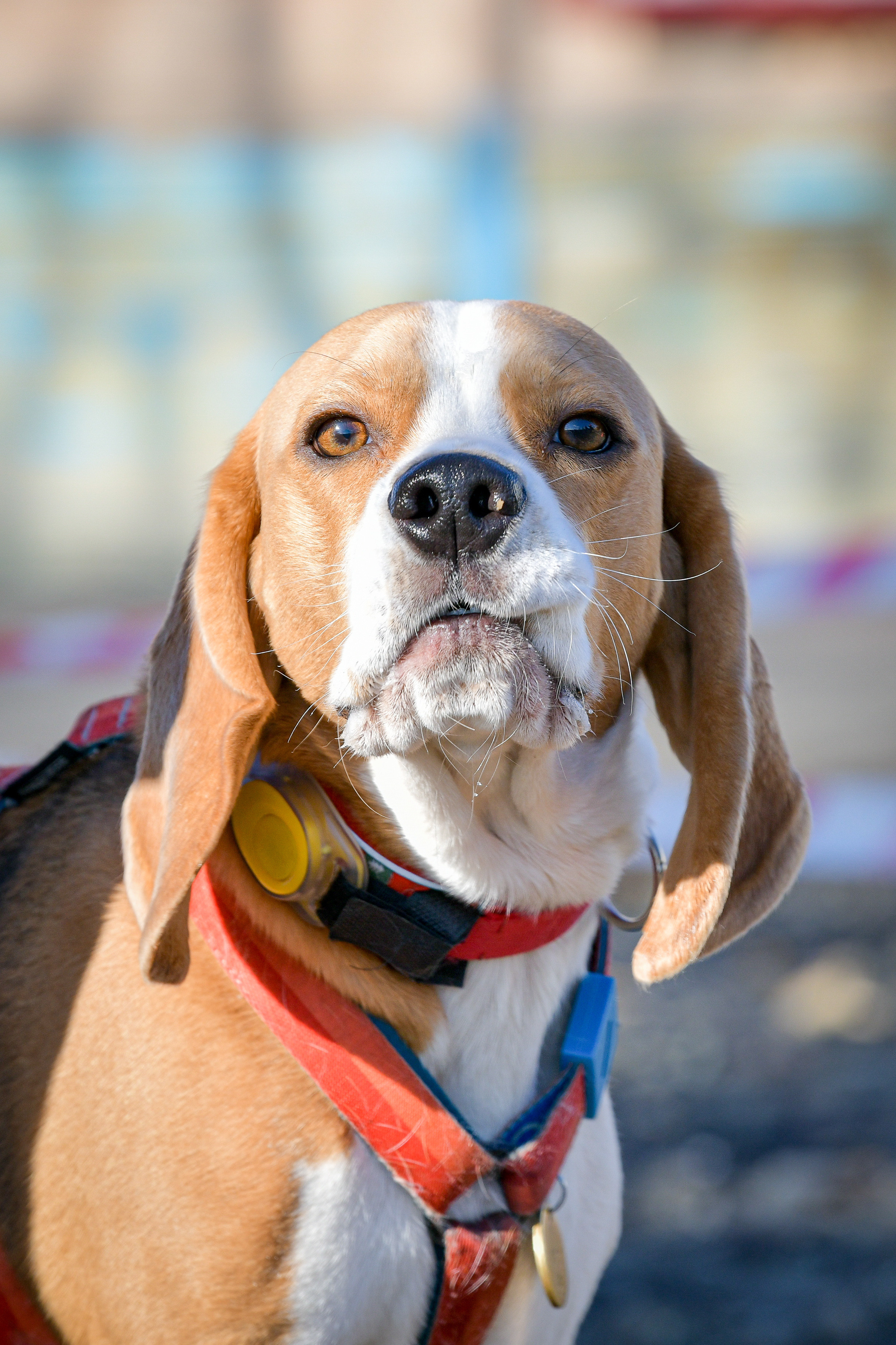 Ноузворк 17 сентября 2023. Свой взгляд через объектив