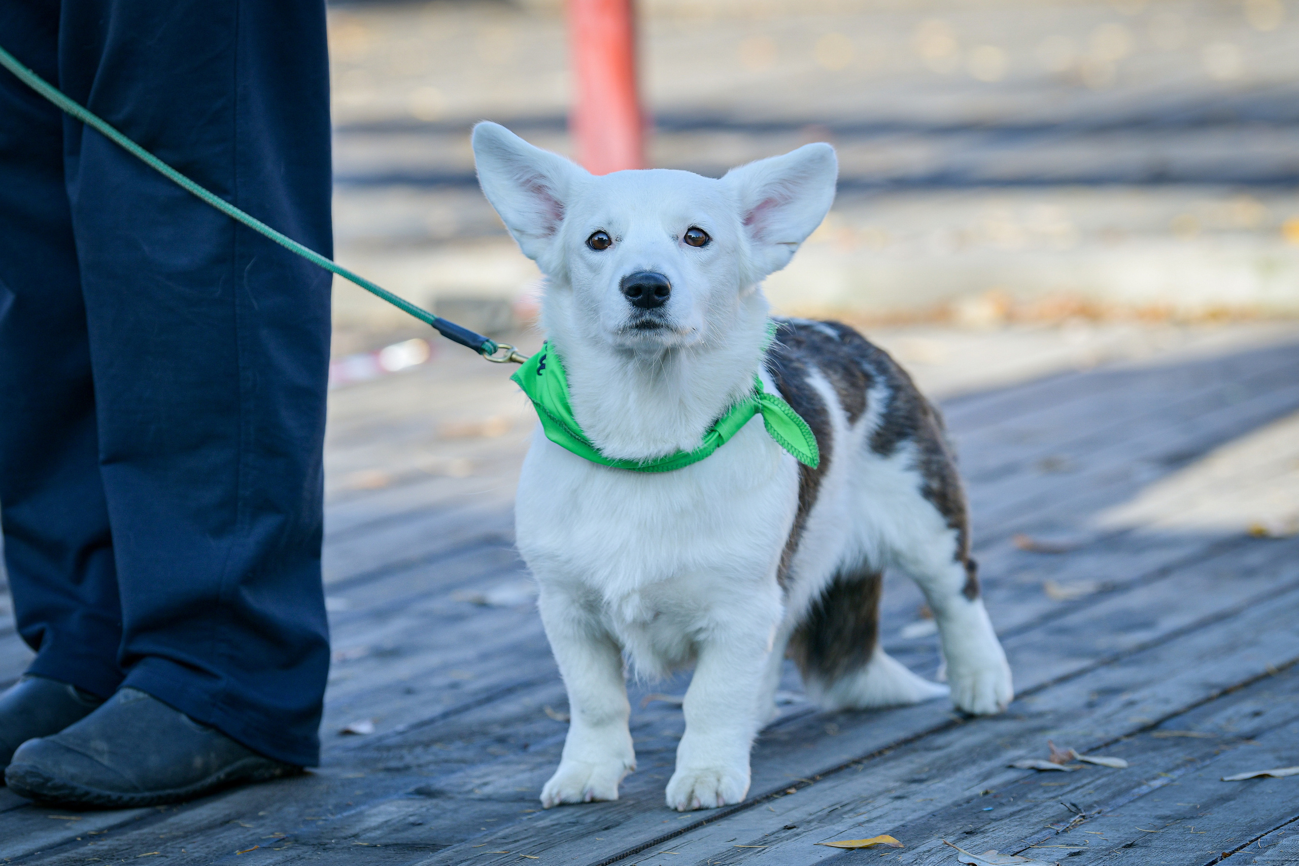 Ноузворк 17 сентября 2023. Свой взгляд через объектив