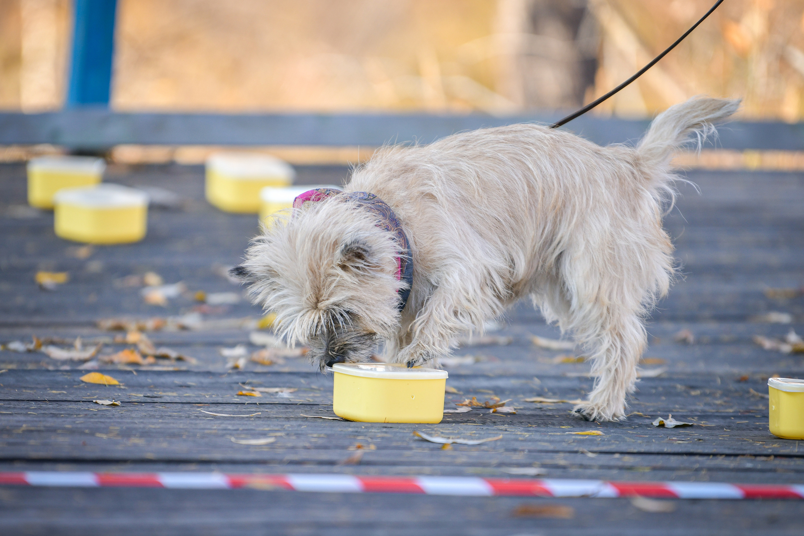 Ноузворк 17 сентября 2023. Свой взгляд через объектив
